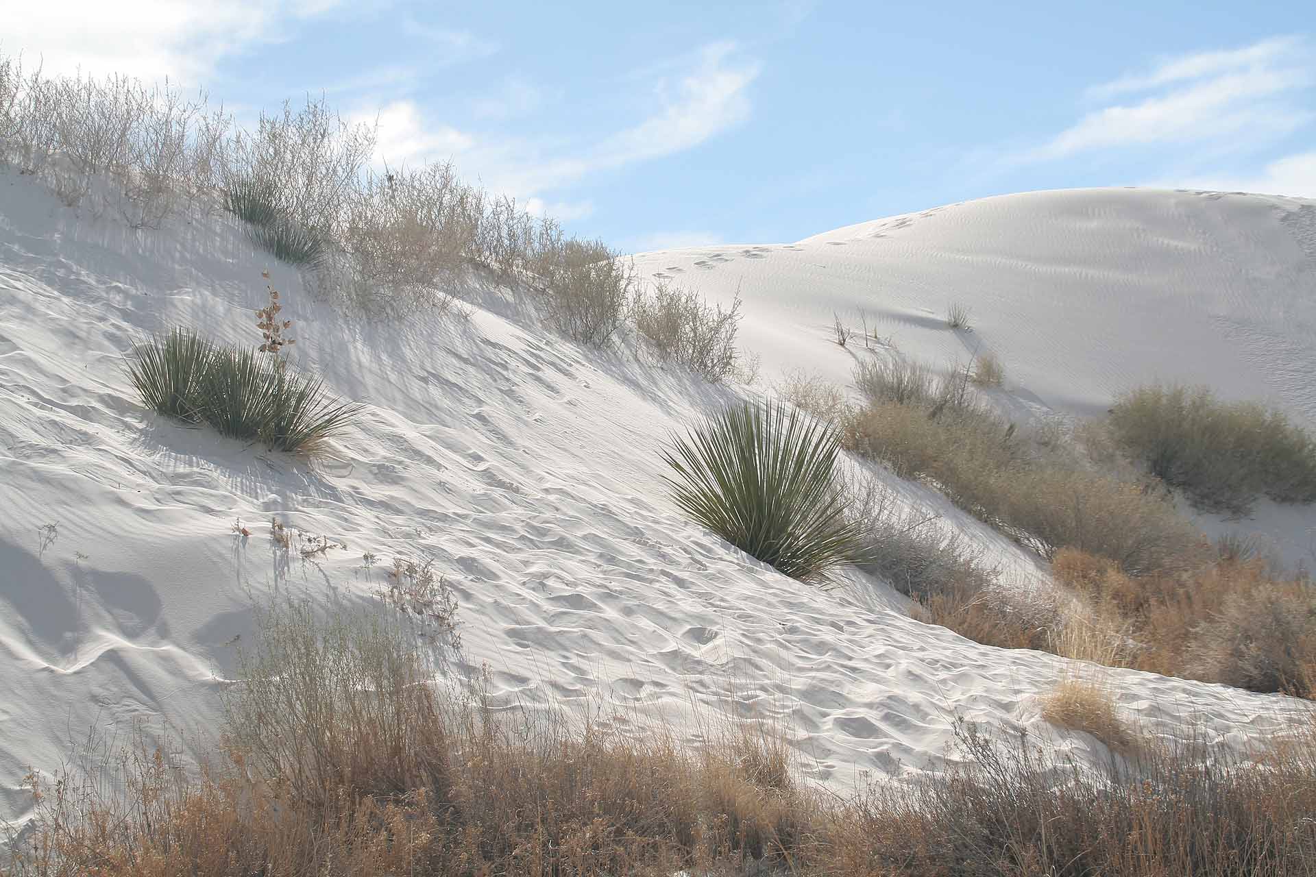 Das White Sands Nationalmonument, New Mexico