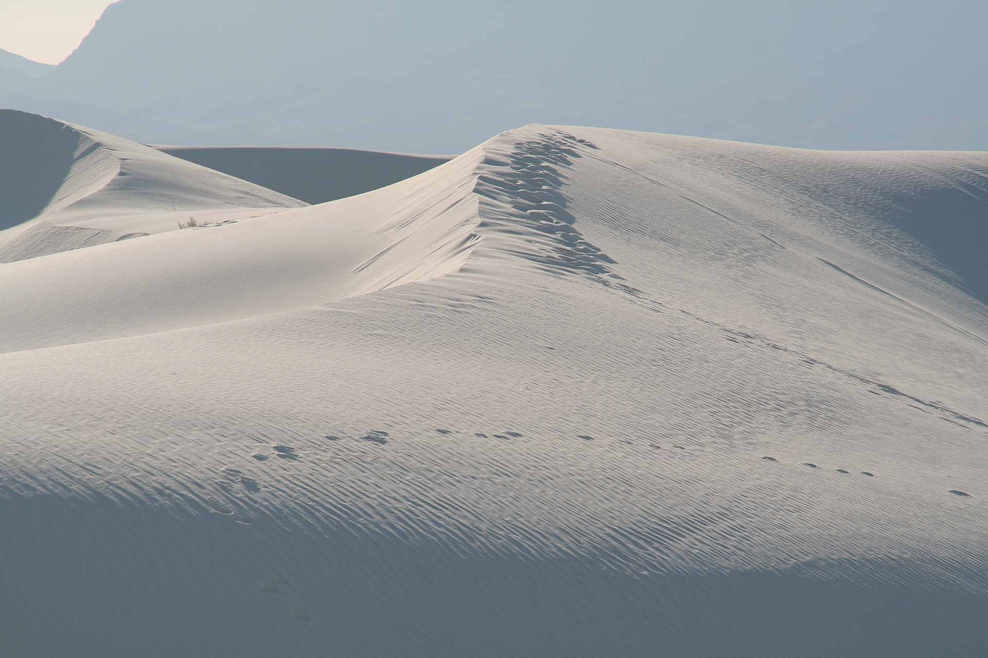 Das White Sands Nationalmonument, New Mexico - Kein Schnee, sondern eine Gipswüste - beliebte Naturkulisse für Westernfilme