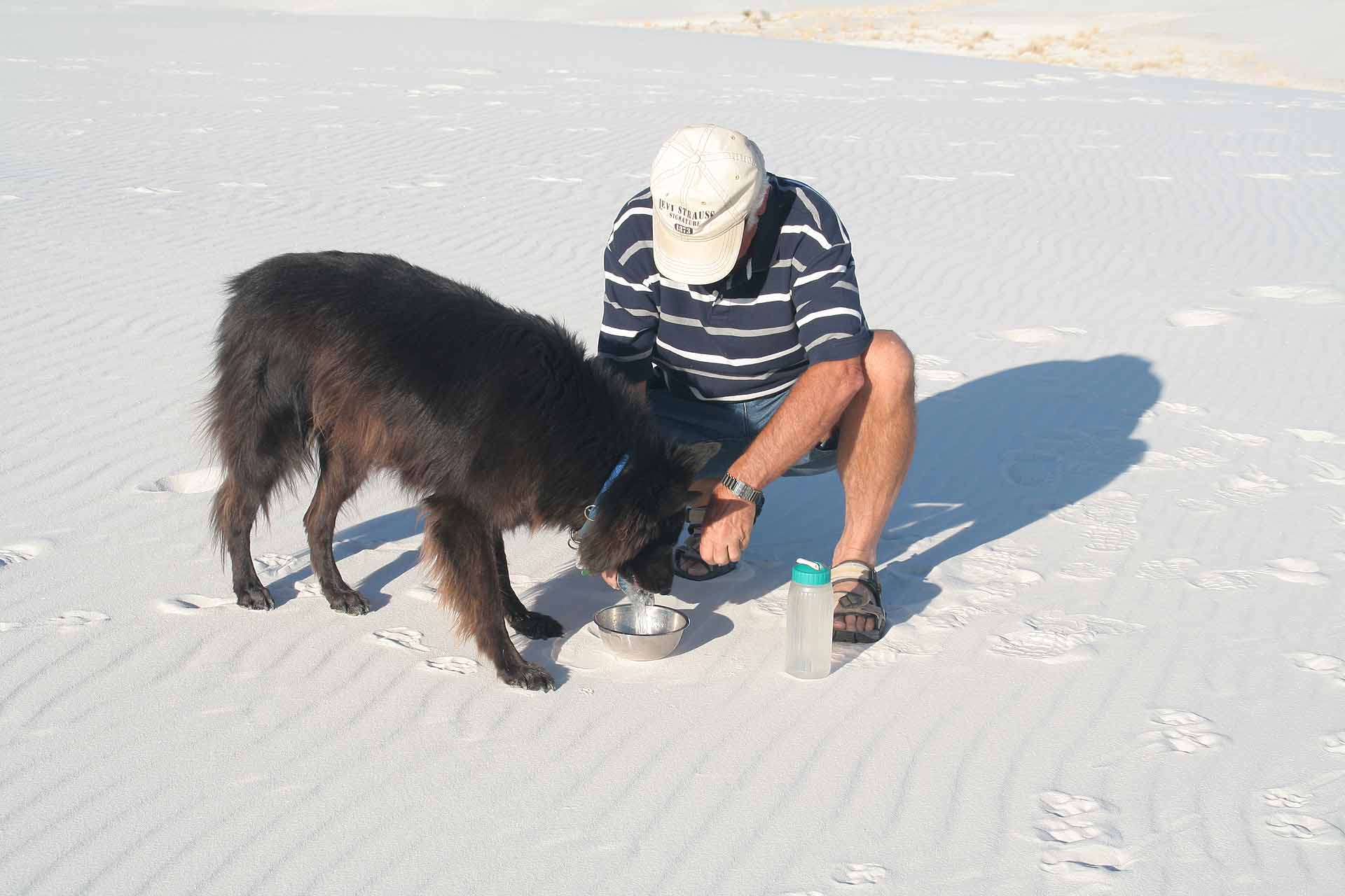 Das White Sands Nationalmonument, New Mexico - Unserem Hund gefällt der falsche Schnee