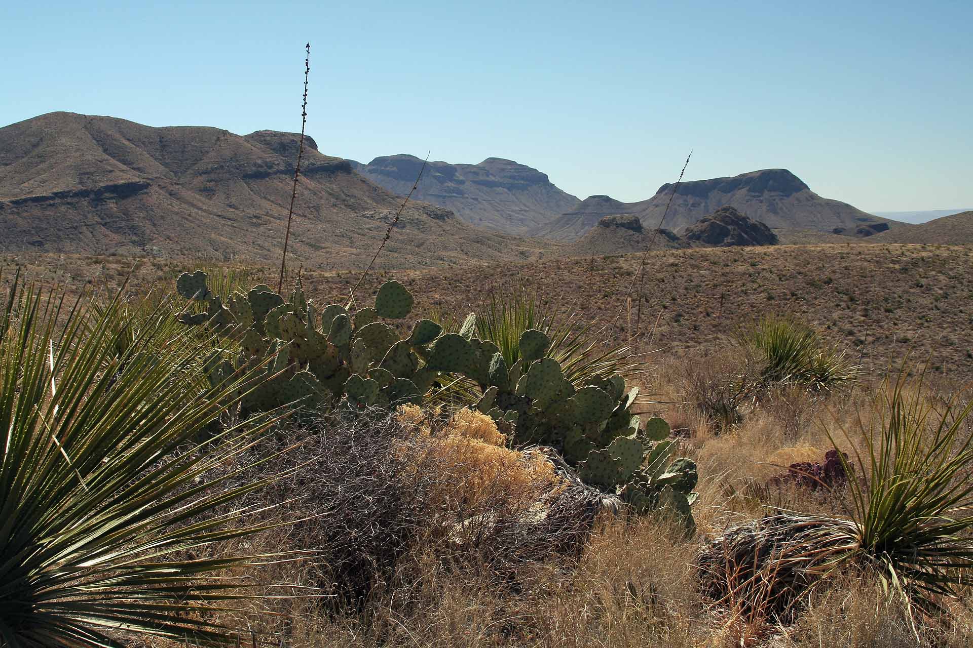 West Texas, Big Bend Nationalpark - Hier war einst das Jagdgebiet der Comanchen.