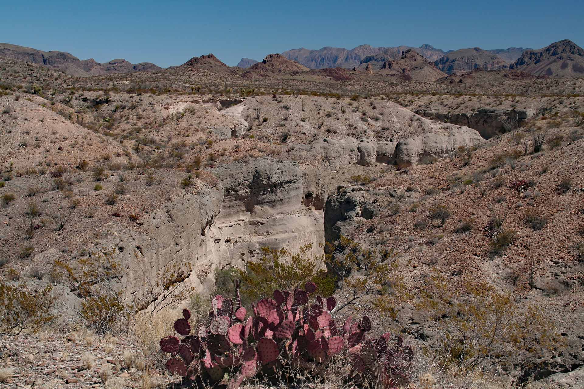 West Texas, Big Bend Nationalpark - Tuff Canyon