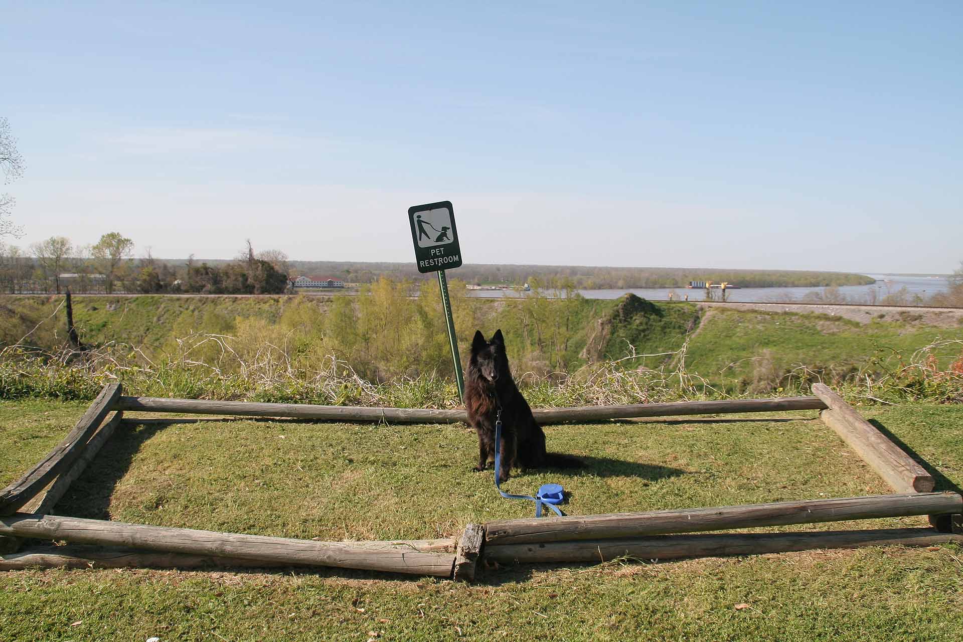 Pet Restroom - Amerikanisches Hundeklo