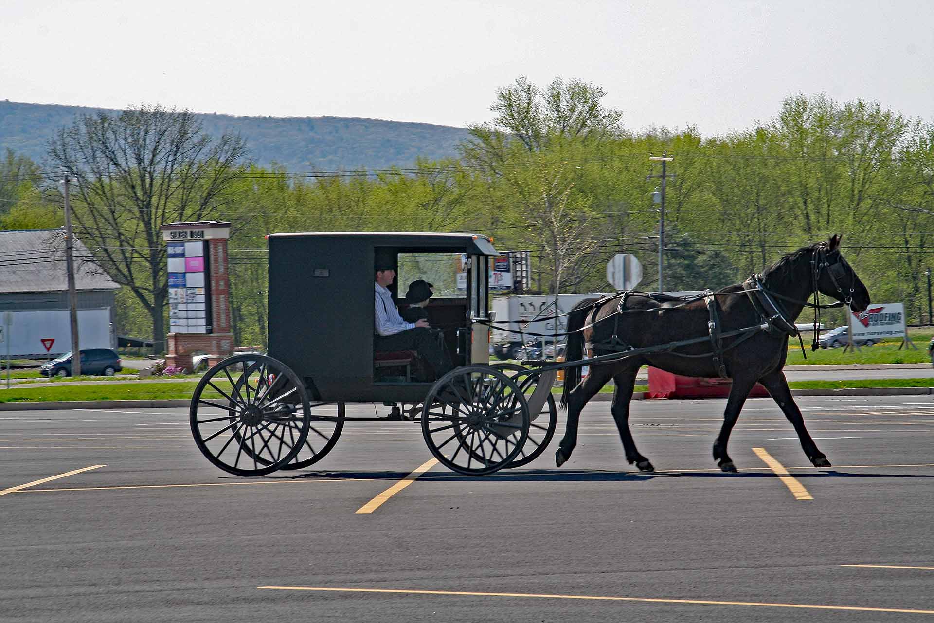 Lewisburg, Pennsylvania - Amish People