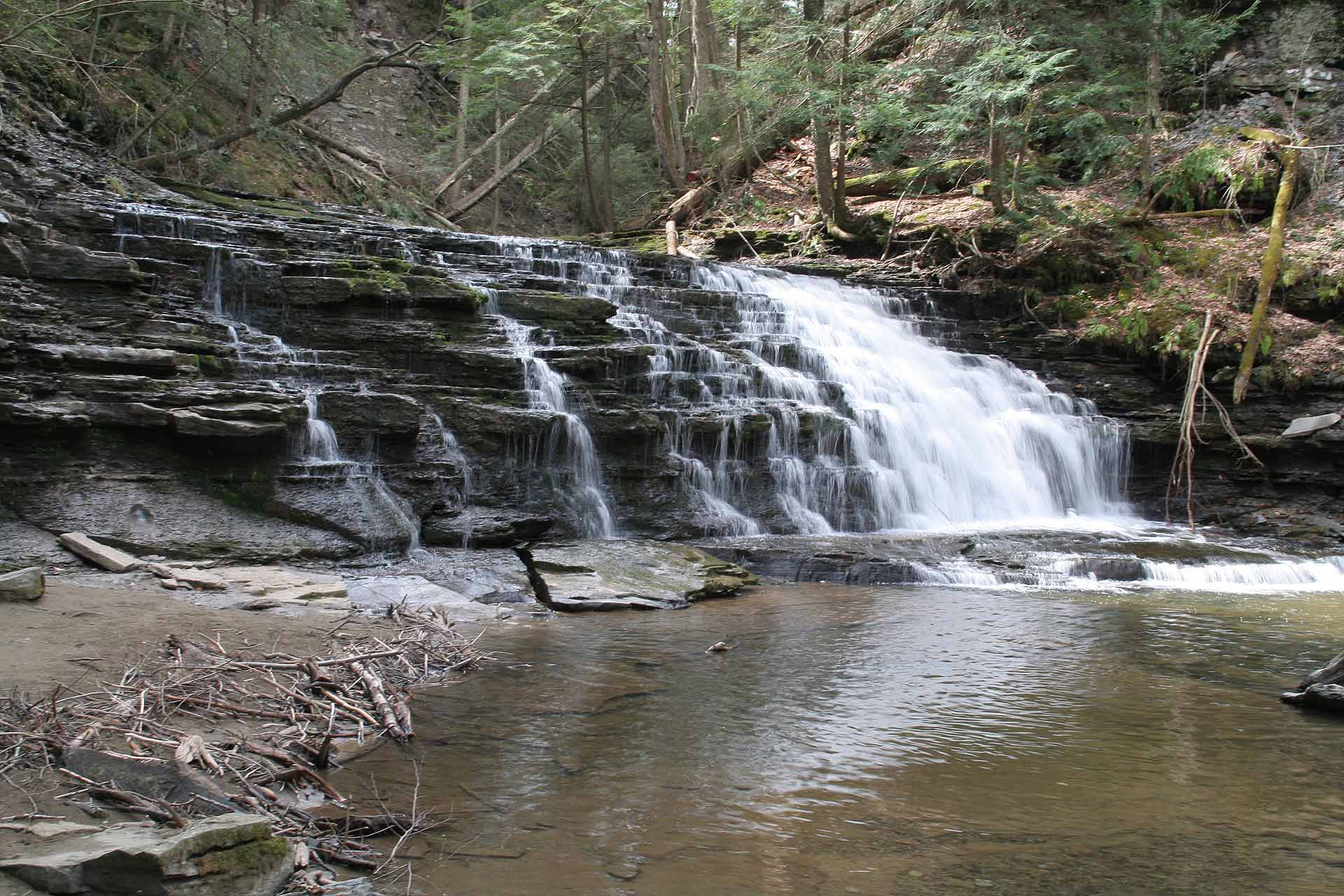 Salt Spring Statepark, Pennsylvania -