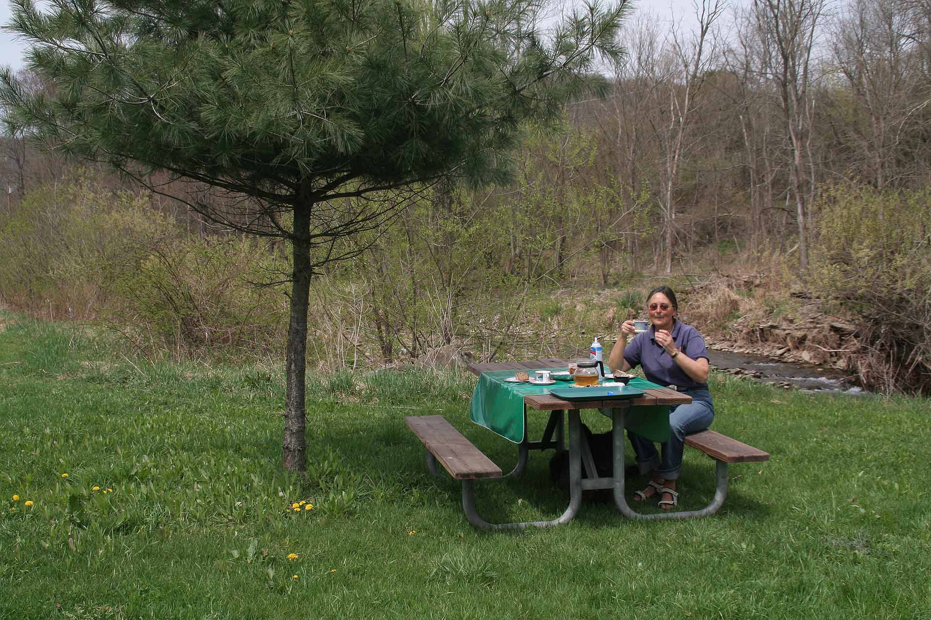 Mittagspause im Salt Spring Statepark, Pennsylvania