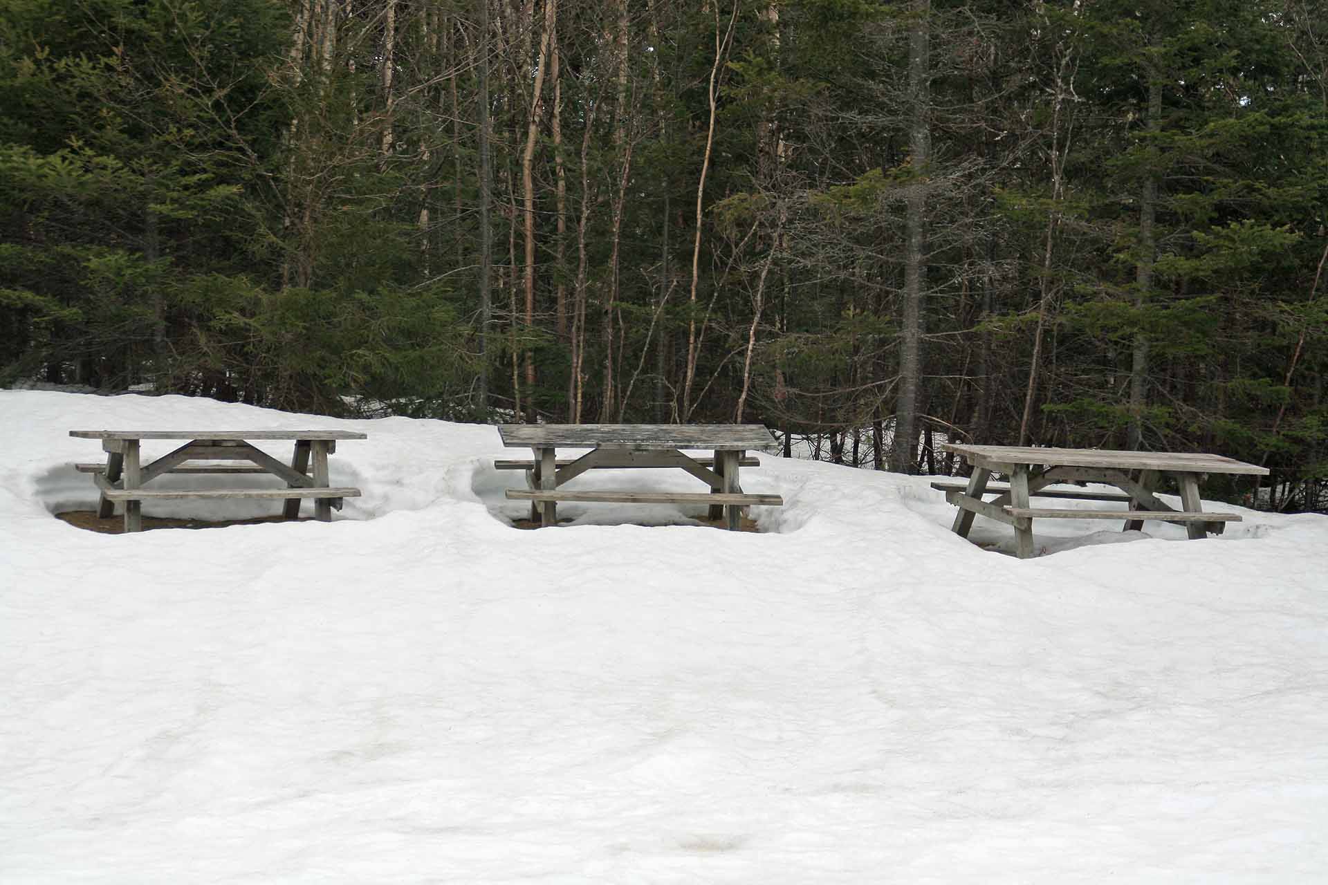 Picknickplatz im Fundy Nationalpark, New Brunswick