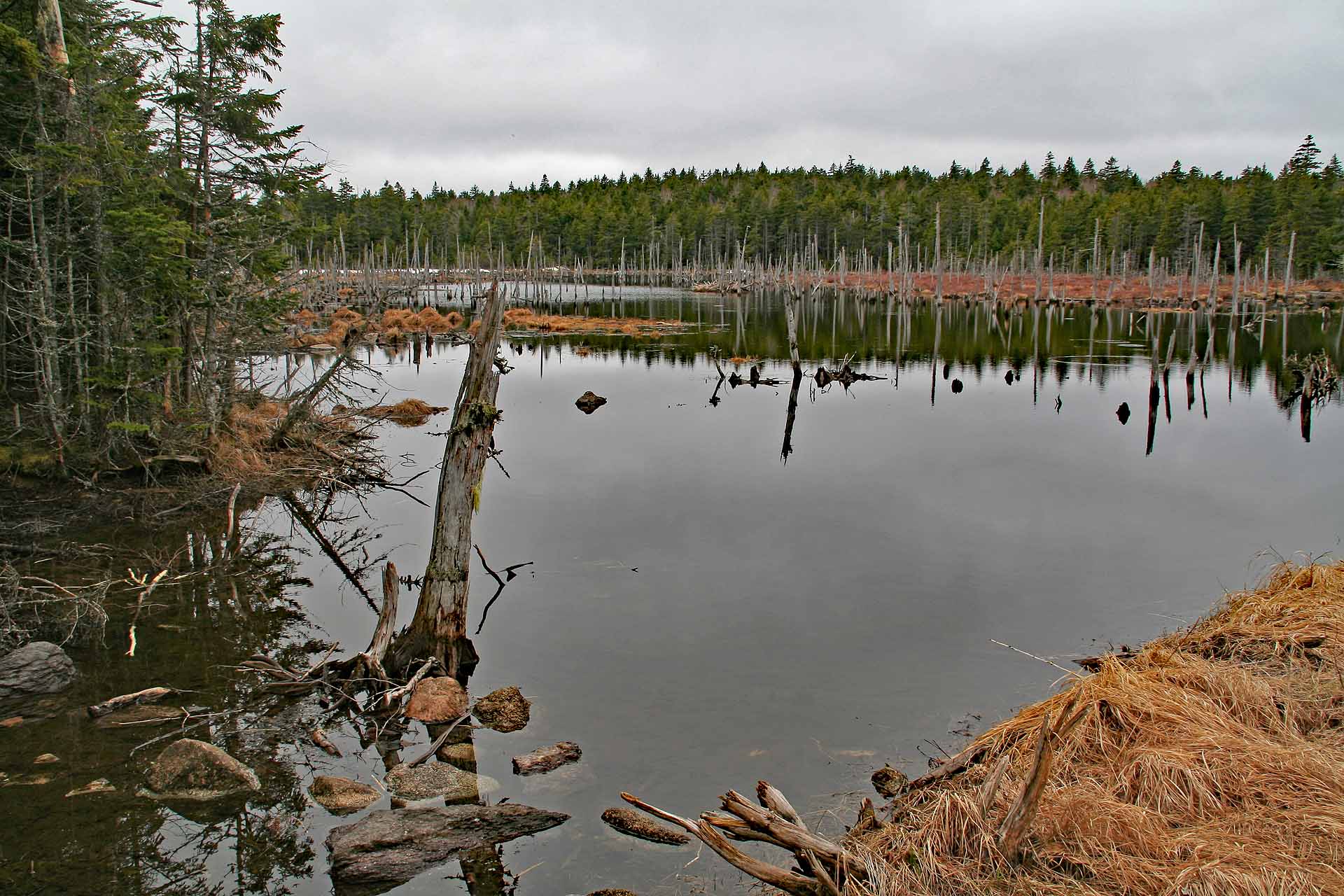 Fundy Nationalpark, New Brunswick