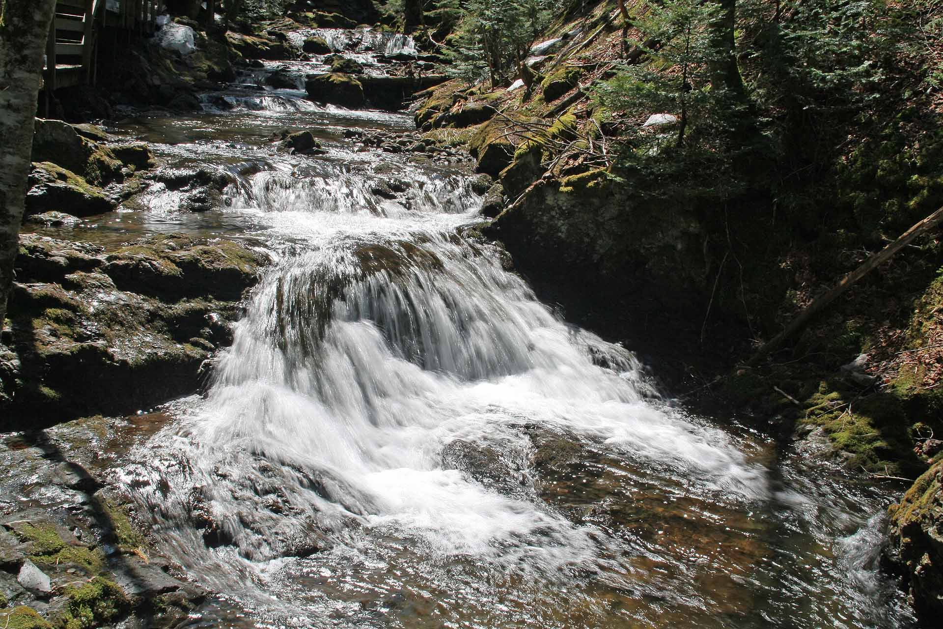 Fundy Nationalpark, New Brunswick Klein aber fein - Die Dickens Falls