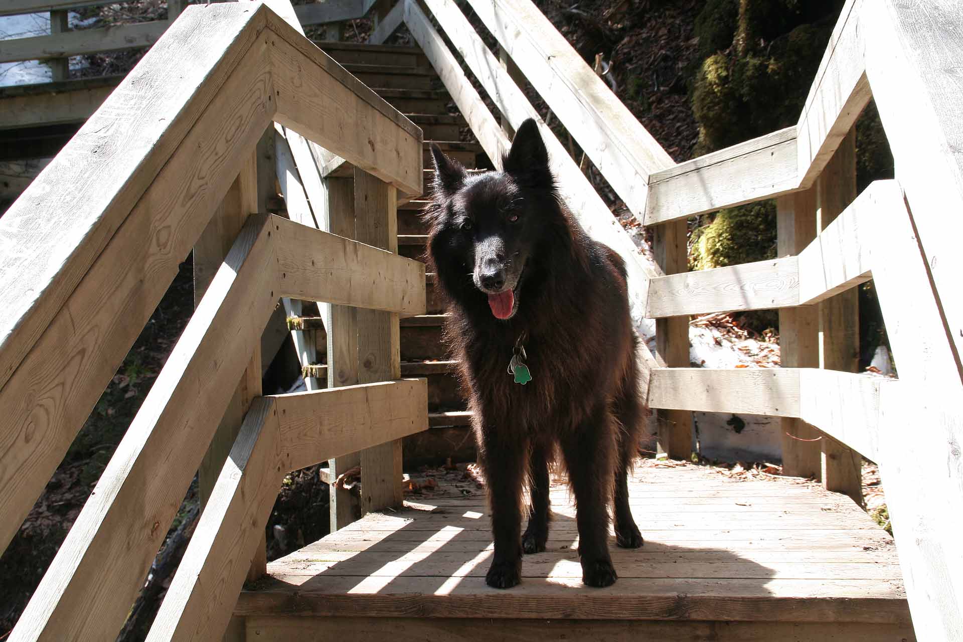 Fundy Nationalpark, New Brunswick