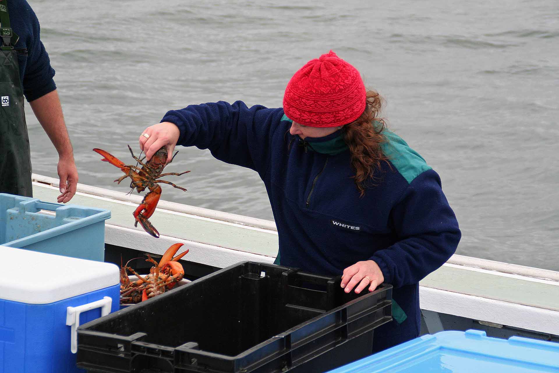 Prince Edward Island, Kanada - Hummersaison