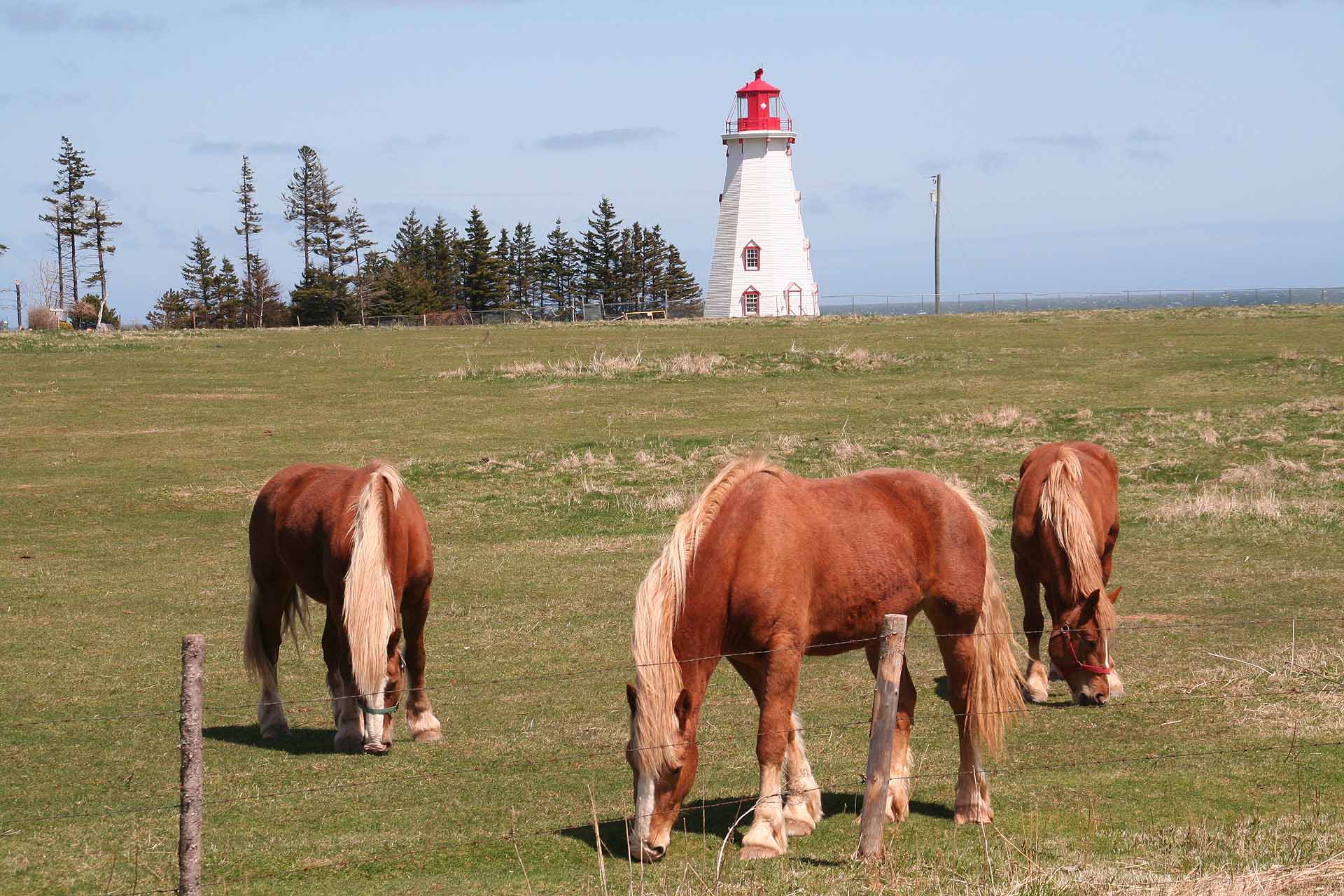 Prince Edward Island, Kanada - PEI-Idylle