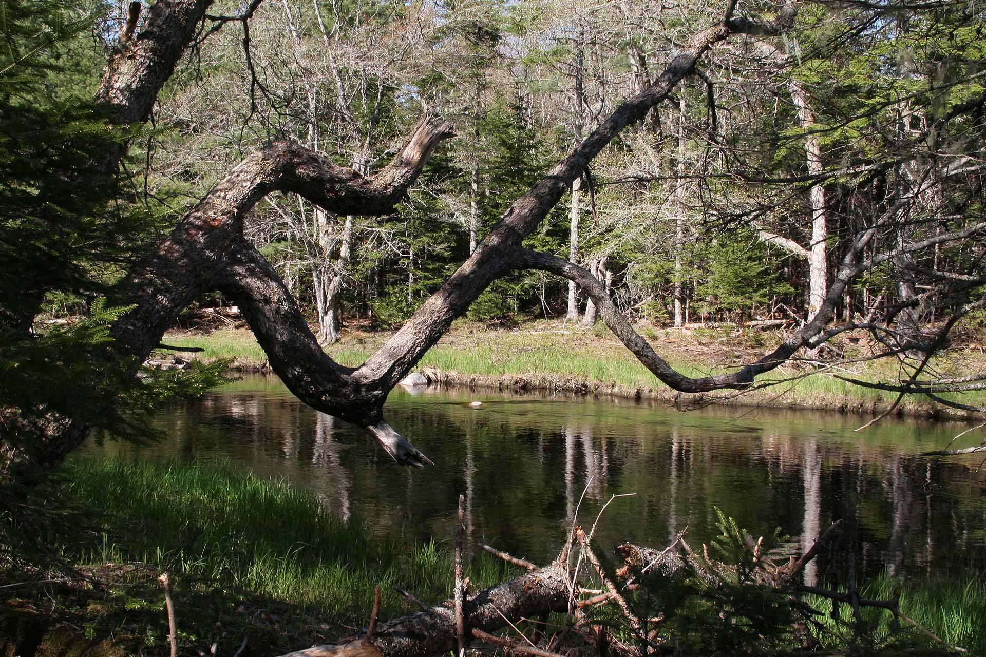 Nova Scotia, Kejimkujik Nationalpark