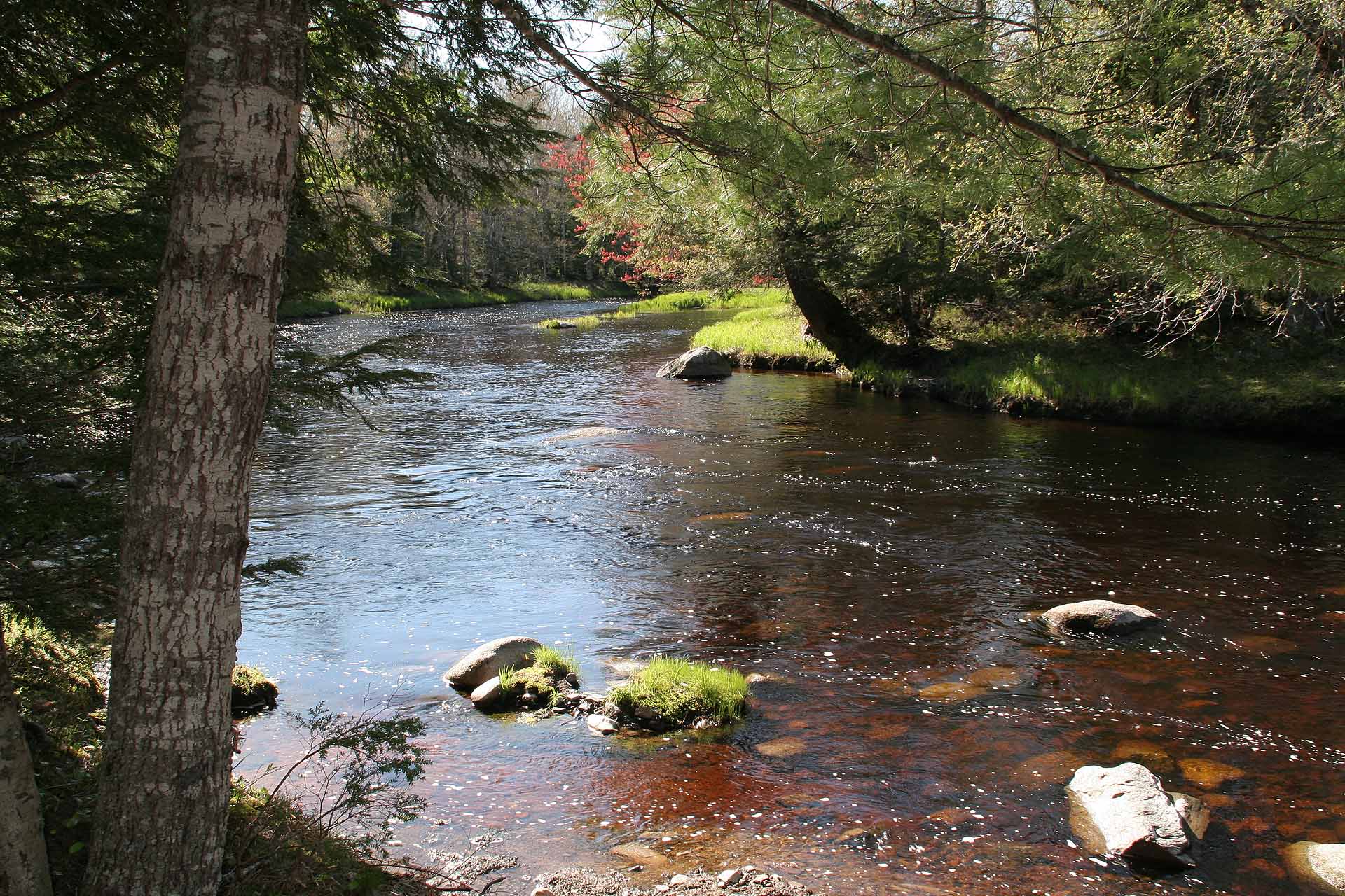 Nova Scotia, Kejimkujik Nationalpark