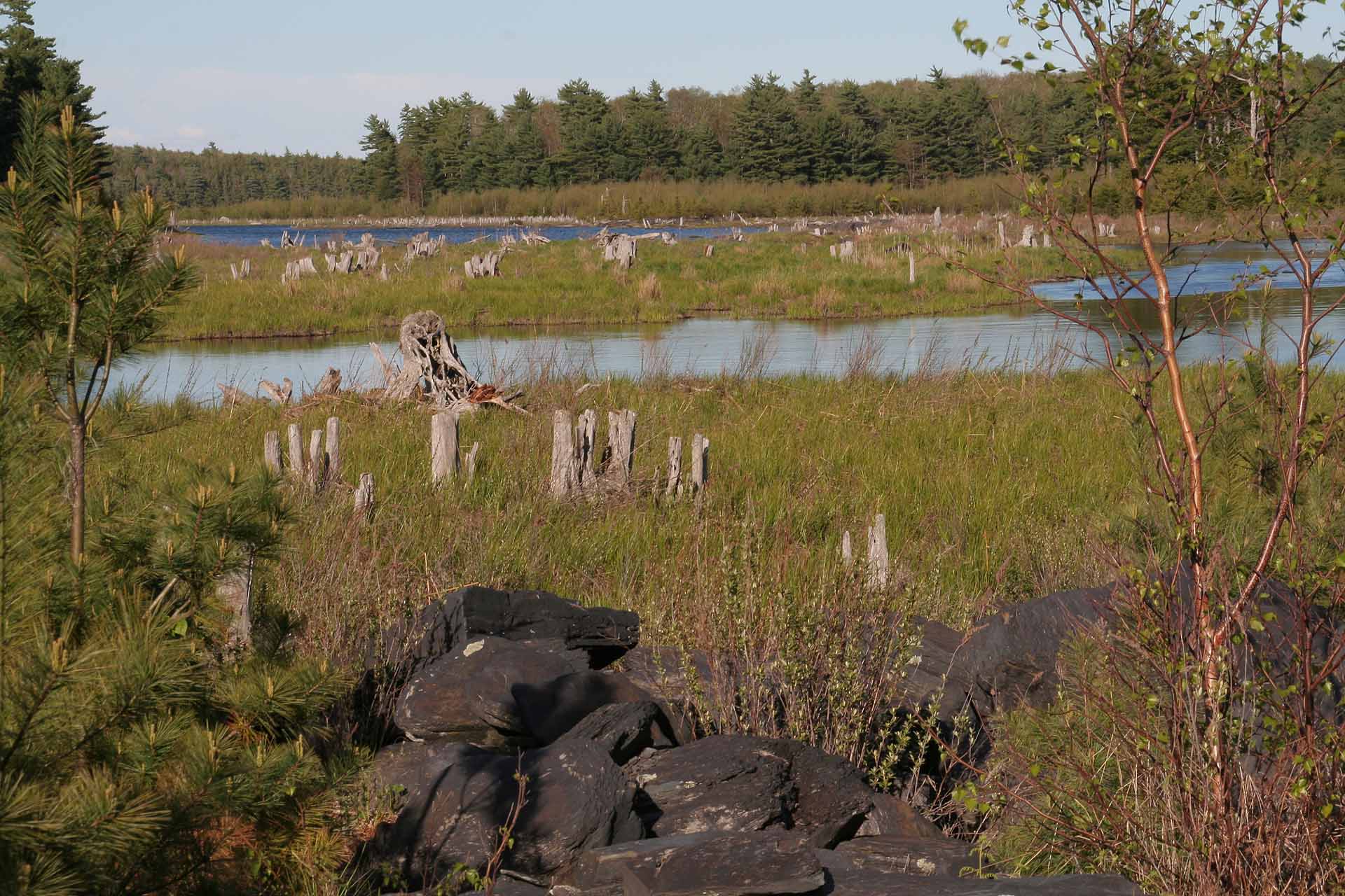 Nova Scotia, Kejimkujik Nationalpark