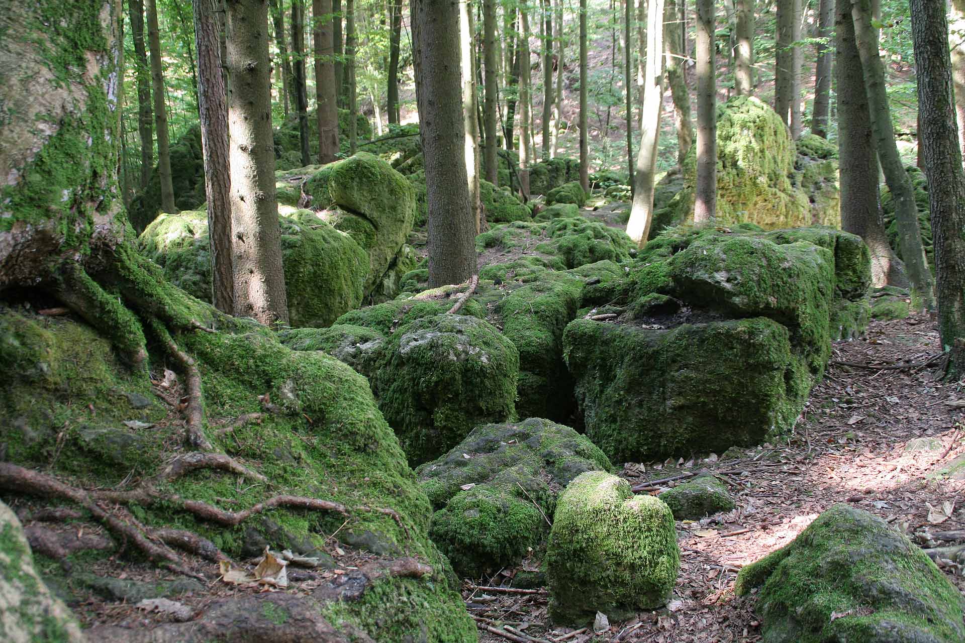 Der Druidenhain bei Wohlmannsgesees