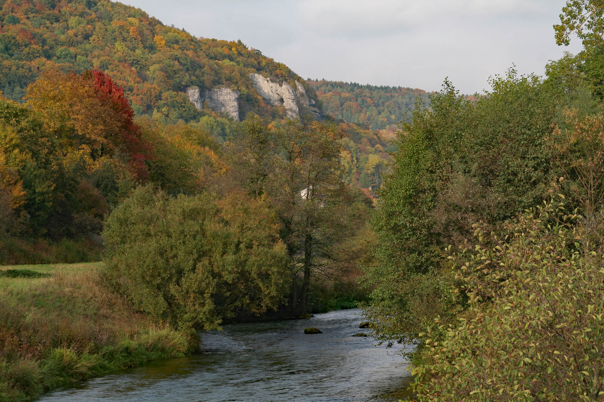 Herbst an der Wiesent