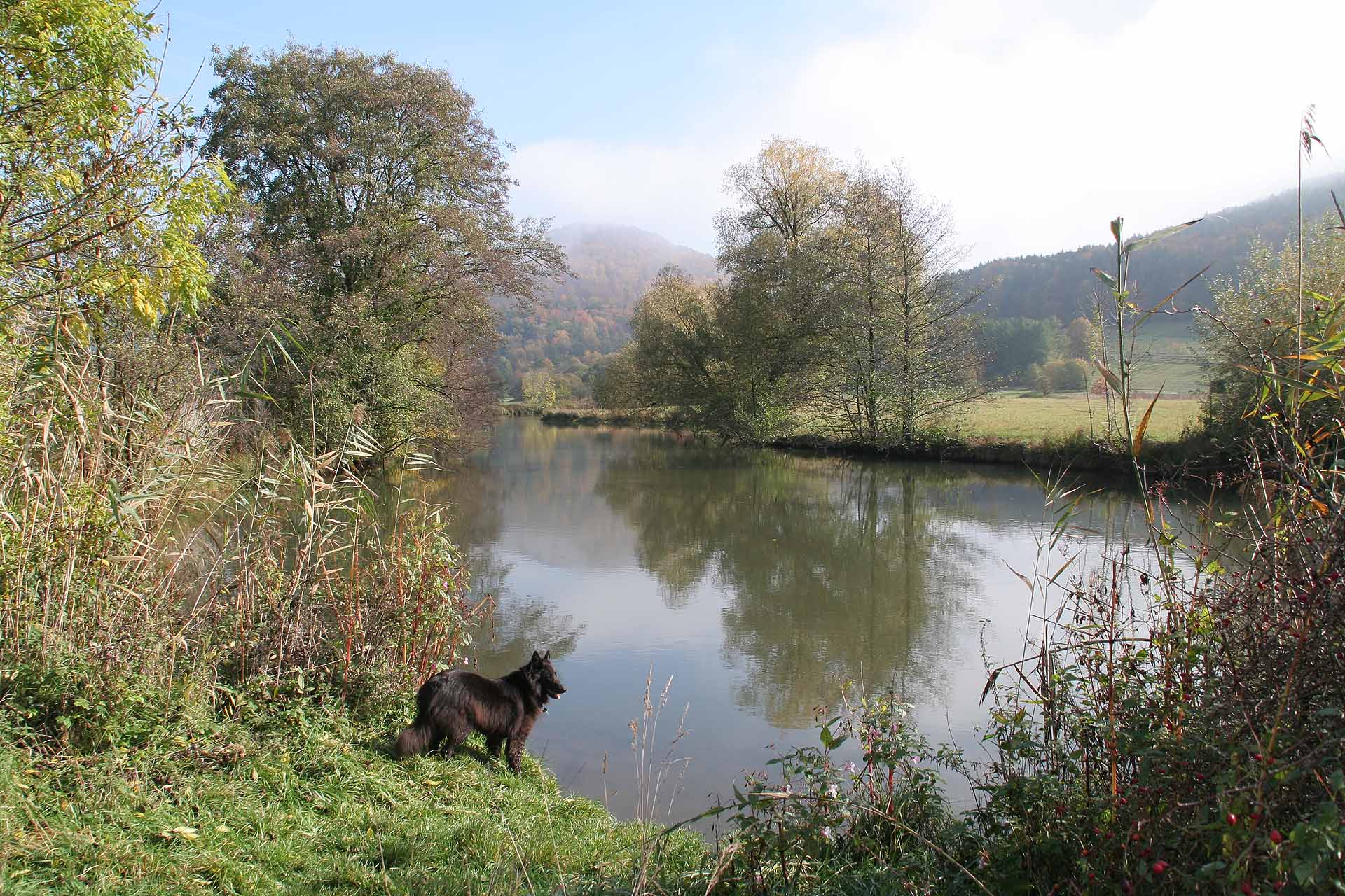 An der Wiesent zwischen Ebermannstadt und Gasseldorf
