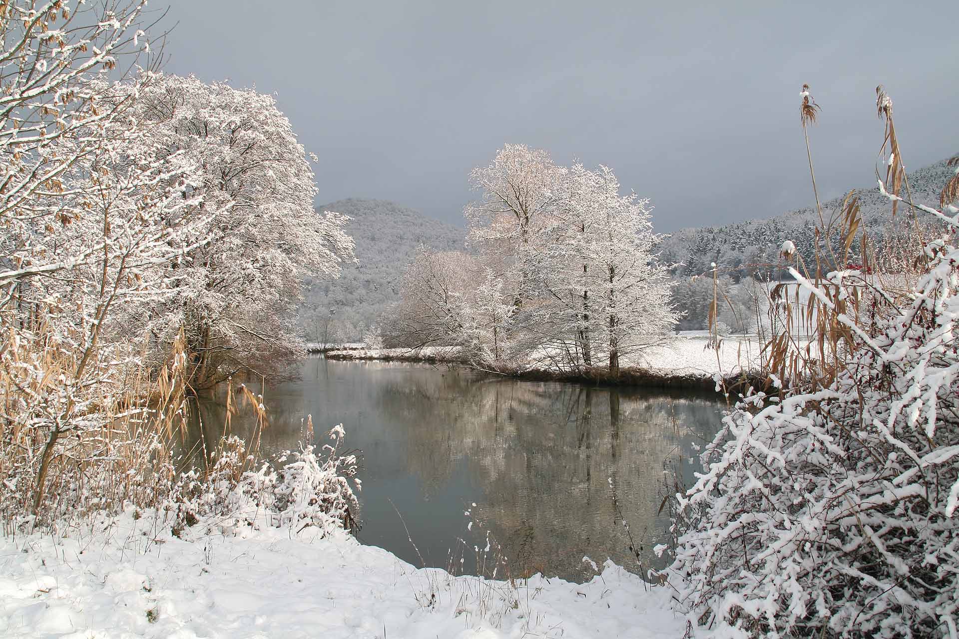 An der Wiesent zwischen Ebermannstadt und Gasseldorf