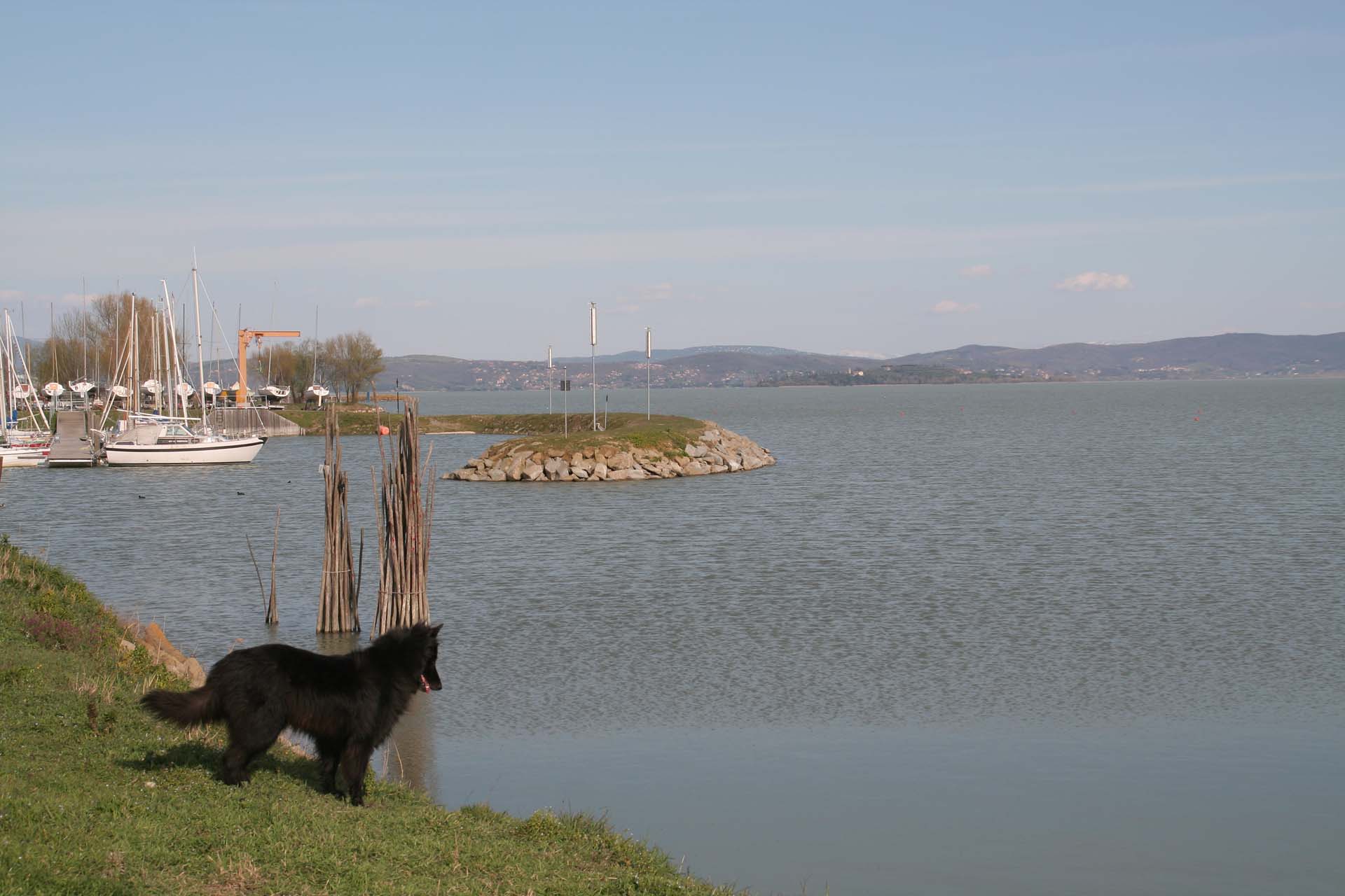 Am Lago die Trasimeno