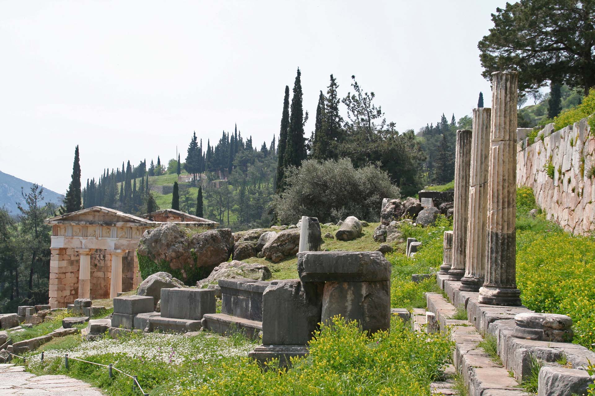 Delphi -