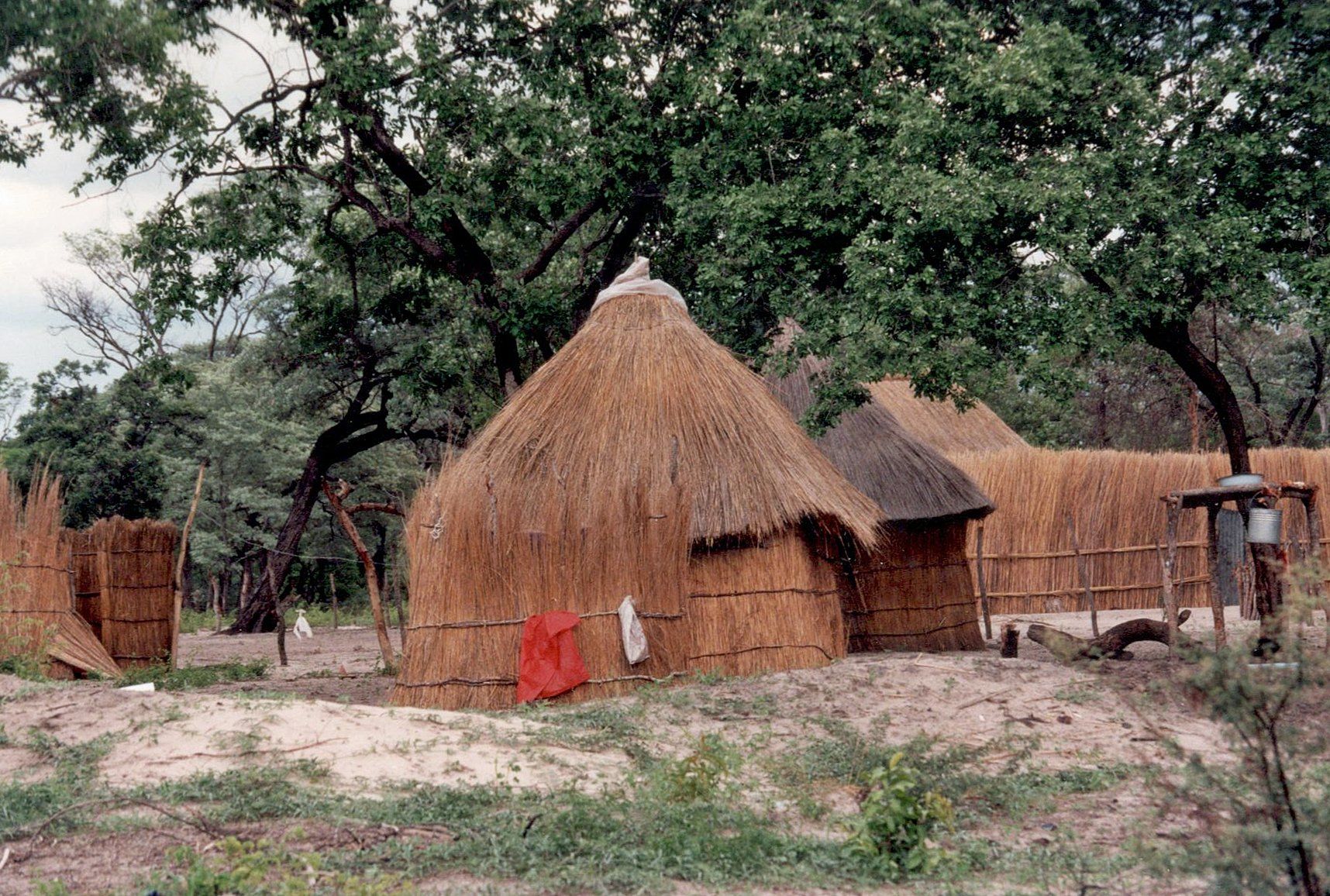 Kral im Kavango-Gebiet, Namibia