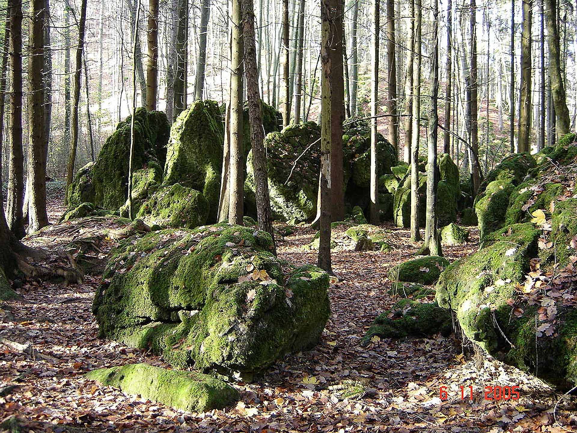 Der Druidenhain bei Wohlmannsgesees