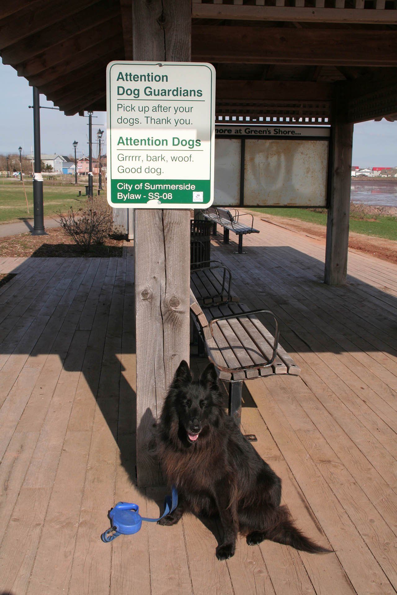 Summerside, PEI - Eine humorvoll vorgetragene Bitte, die Hundehäufchen aufzusammeln