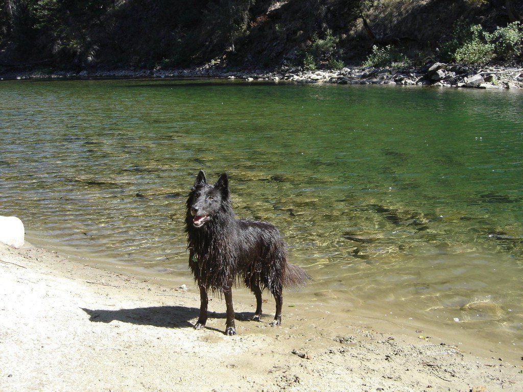 Swimming Hole am Kettle River Swimming Hole am Kettle River