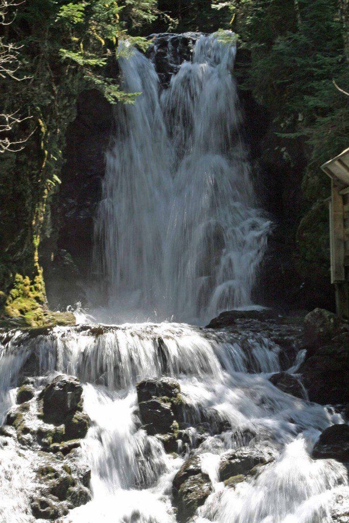 Fundy Nationalpark, New Brunswick Klein aber fein - Die Dickens Falls-