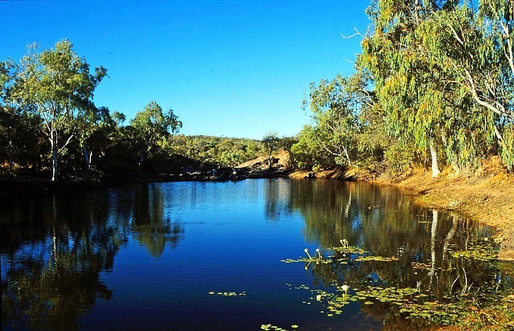 Ein typischer Billabong