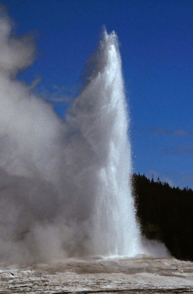 Geysir im Yellowstone Nationalpark