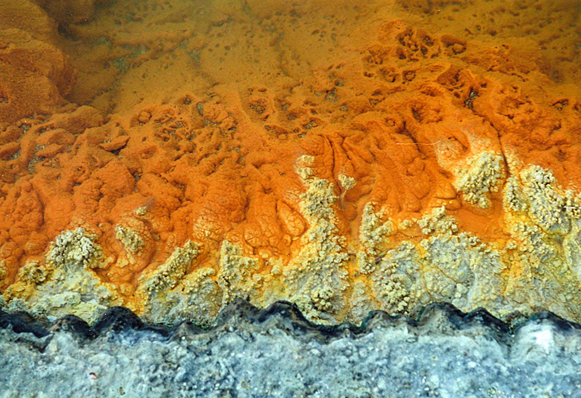 Farbenfroh und kochend heiß.