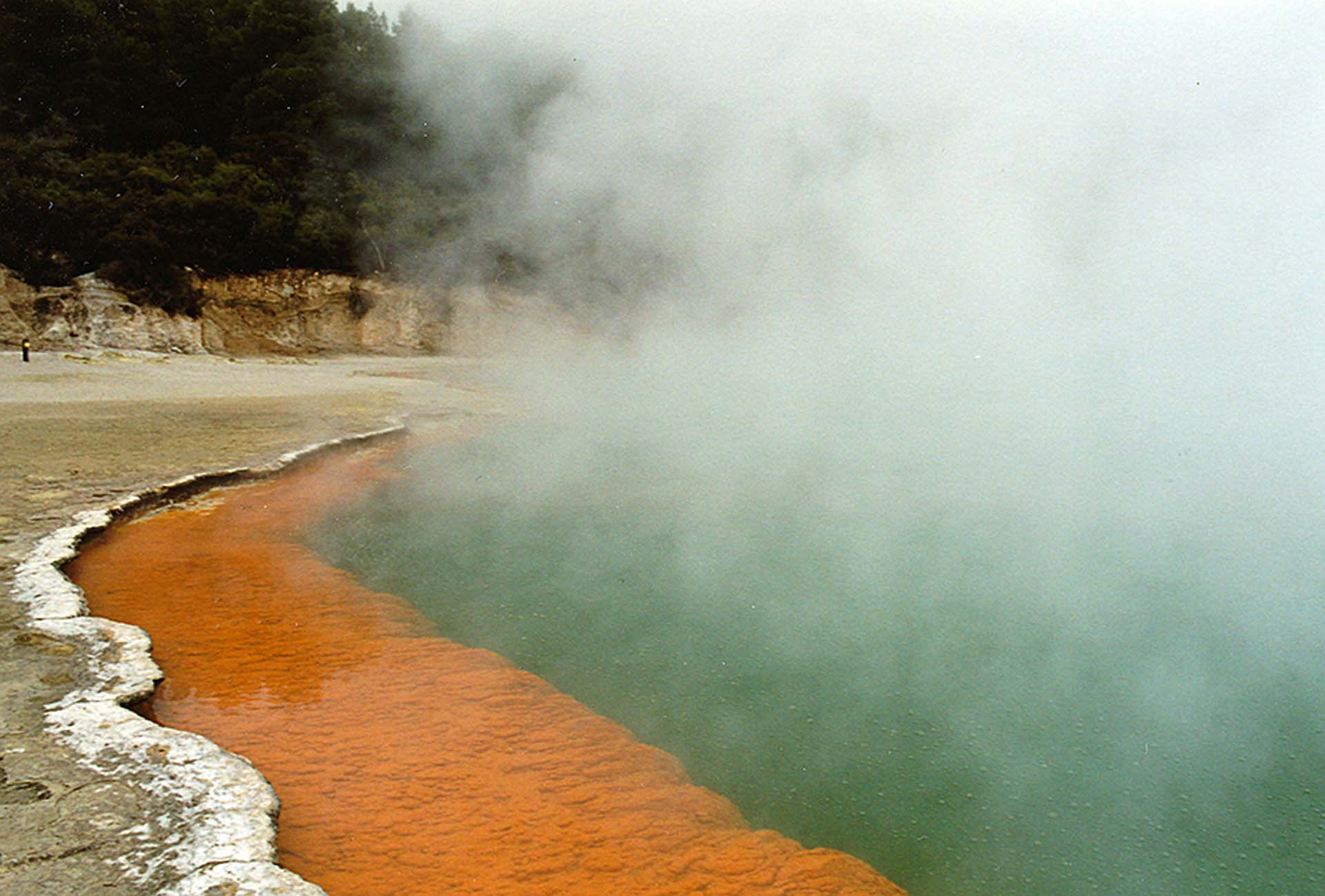 Die heißen Pools zeugen davon, dass man in Neuseeland auf einem Pulverfass sitzt.