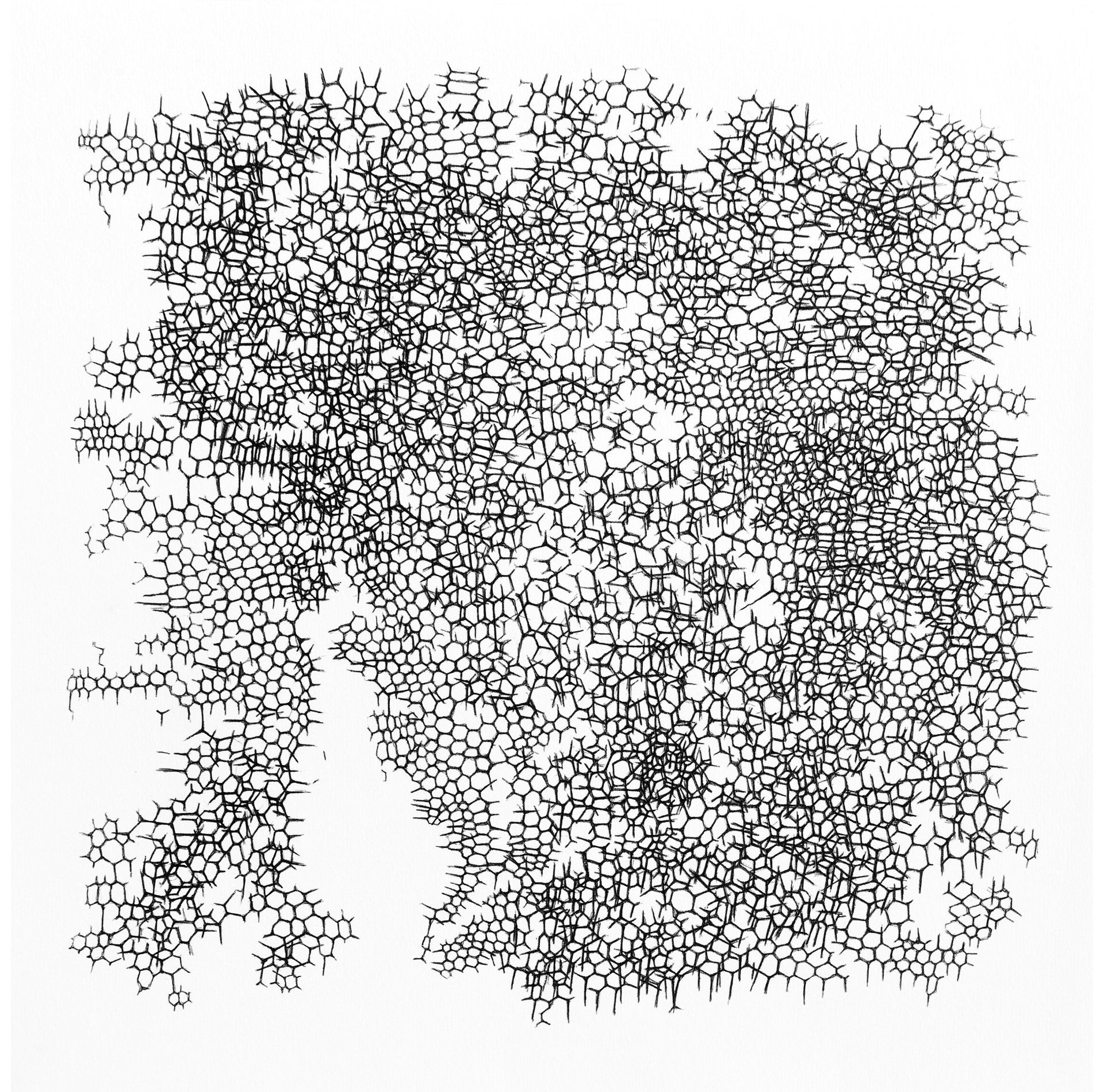 Gabriele Fischbach, Künstlerin, Kunst, Wiesbaden, Zeichnung