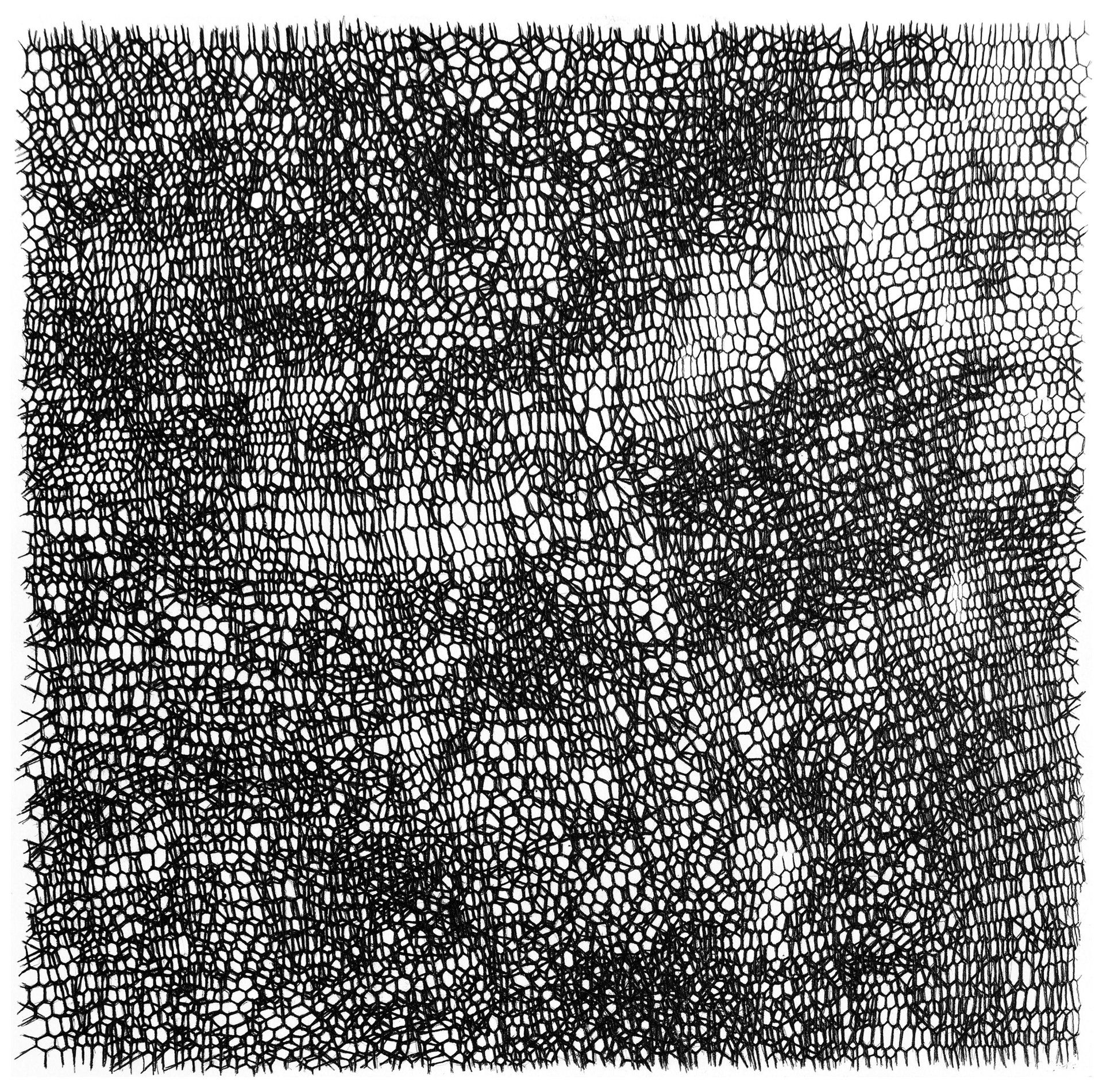 Gabriele Fischbach, Künstlerin, Kunst, Wiesbaden, Zeichnung
