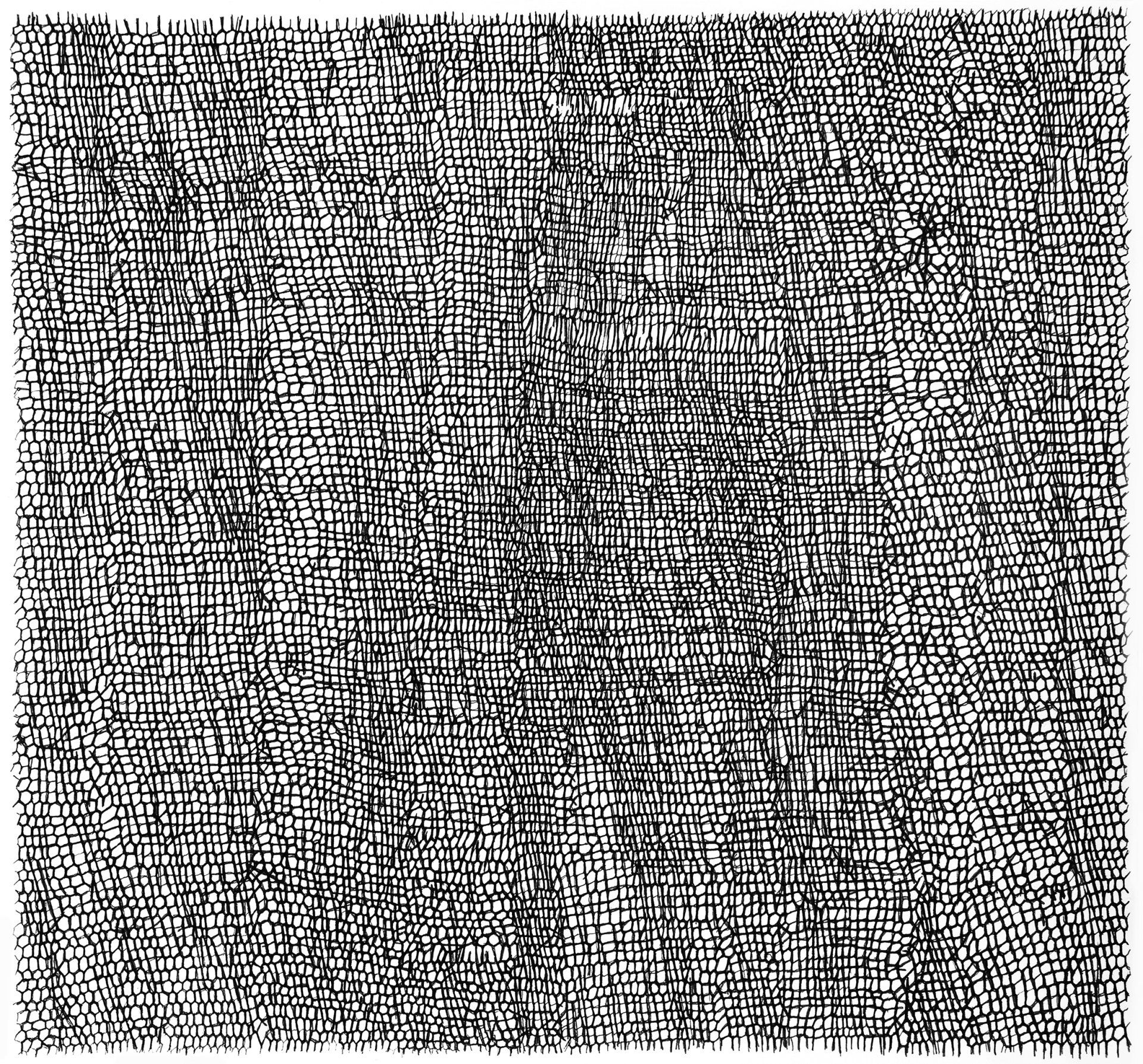 Gabriele Fischbach, Künstlerin, Kunst, Wiesbaden, Zeichnung, Zelle, Struktur