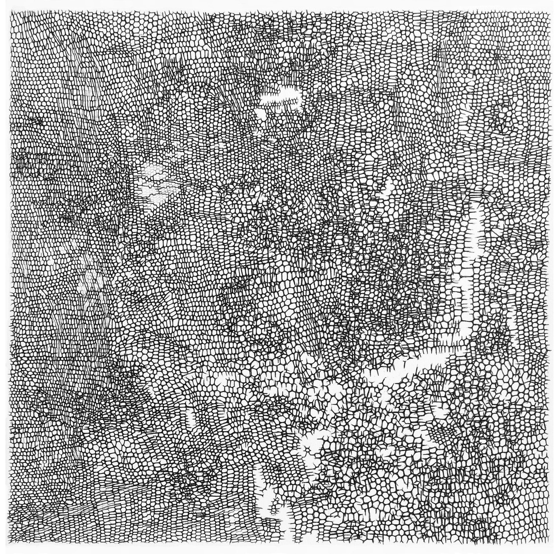 Gabriele Fischbach, Künstlerin, Kunst, Wiesbaden, Zeichnung