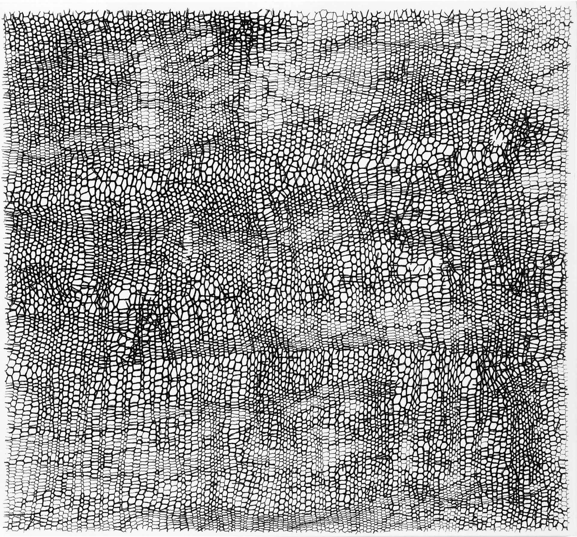 Gabriele Fischbach, Künstlerin, Kunst, Wiesbaden, Zeichnung, Zelle, Struktur