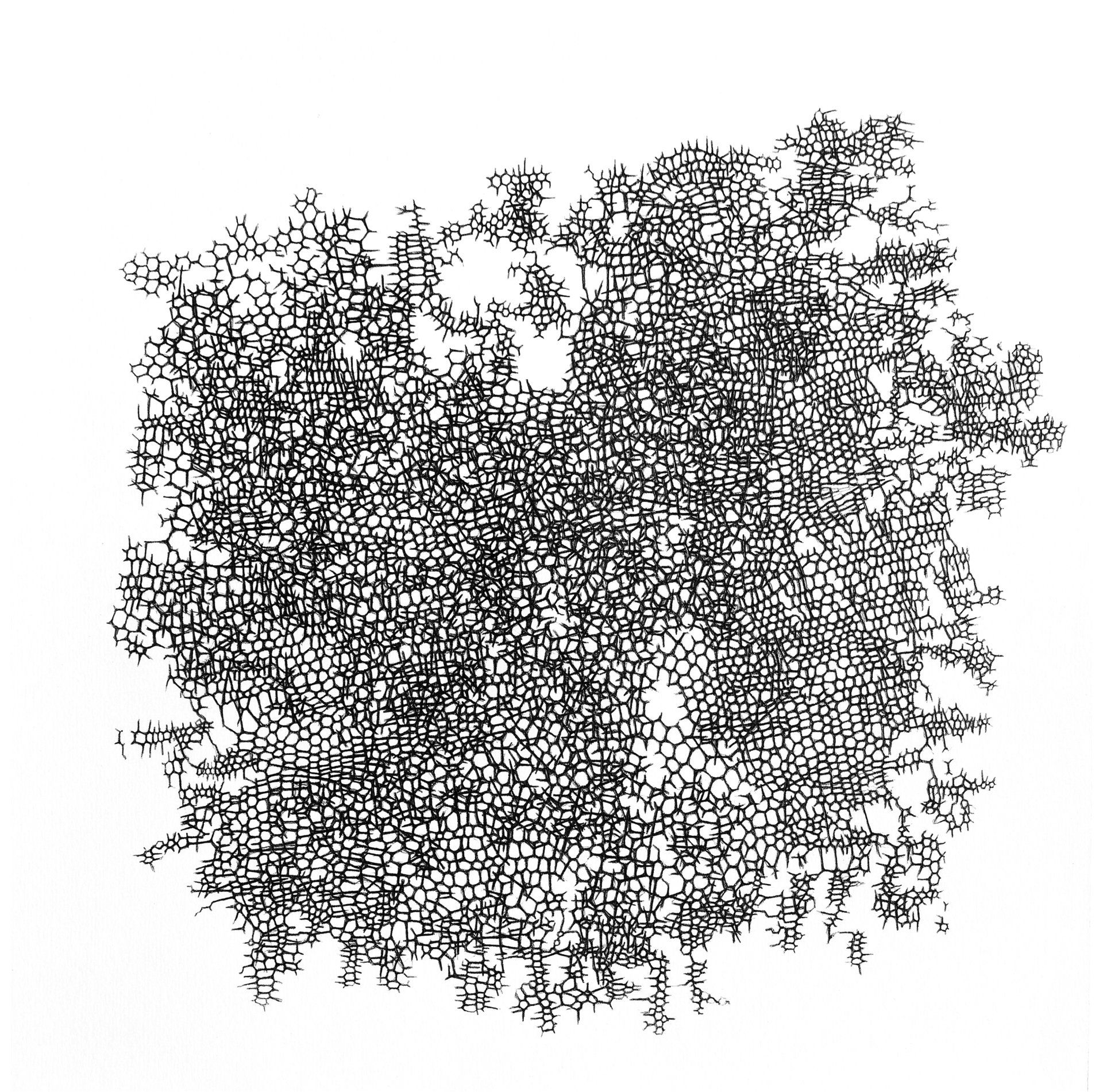 Gabriele Fischbach, Künstlerin, Kunst, Wiesbaden, Zeichnung