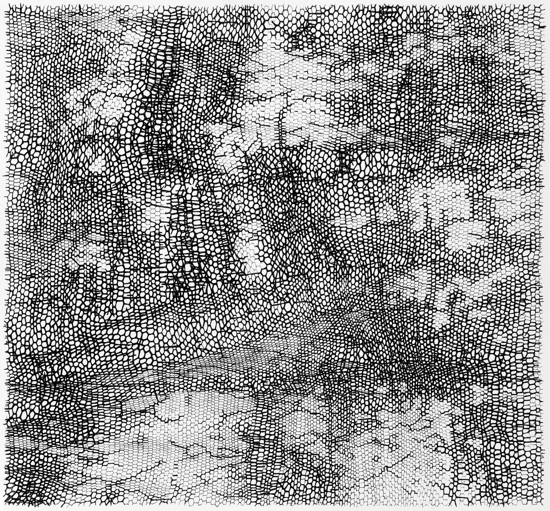 Gabriele Fischbach, Künstlerin, Kunst, Wiesbaden, Zeichnung, Zelle, Struktur