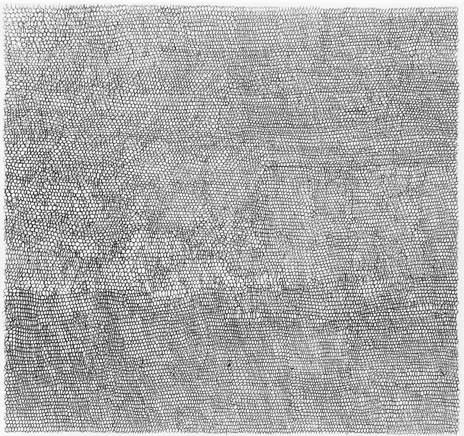 Gabriele Fischbach, Künstlerin, Kunst, Wiesbaden, Zeichnung, Zelle, Struktur