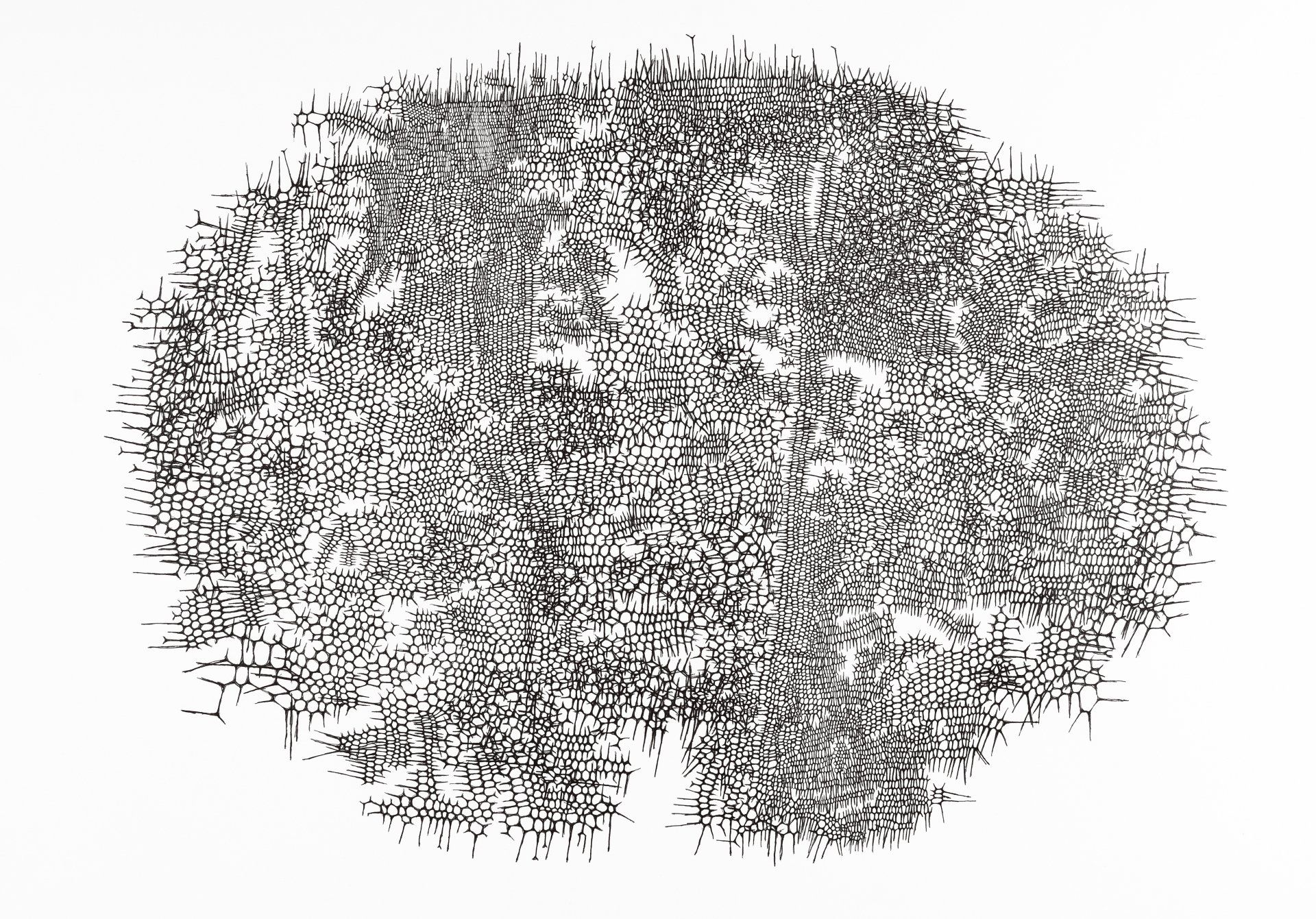 Gabriele Fischbach / ohne Titel / 2012 / 43,0 x 61,0 cm / Kugelschreiber auf Karton Strukturzeichnung Sechseckstruktur Netzstruktur Fragment