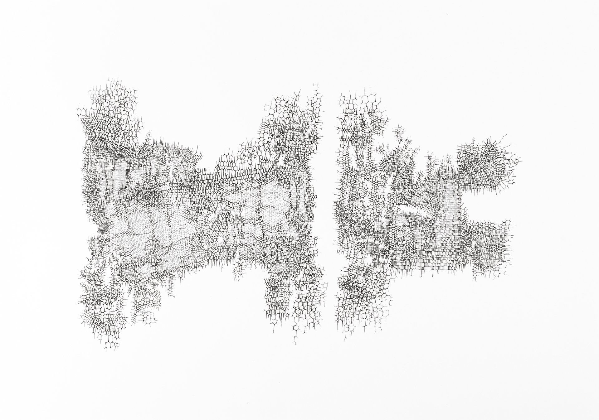 062 Gabriele Fischbach / ohne Titel / 2012 / 43,0 x 61,0 cm / Kugelschreiber auf Karton Strukturzeichnung Sechseckstruktur Netzstruktur Fragment