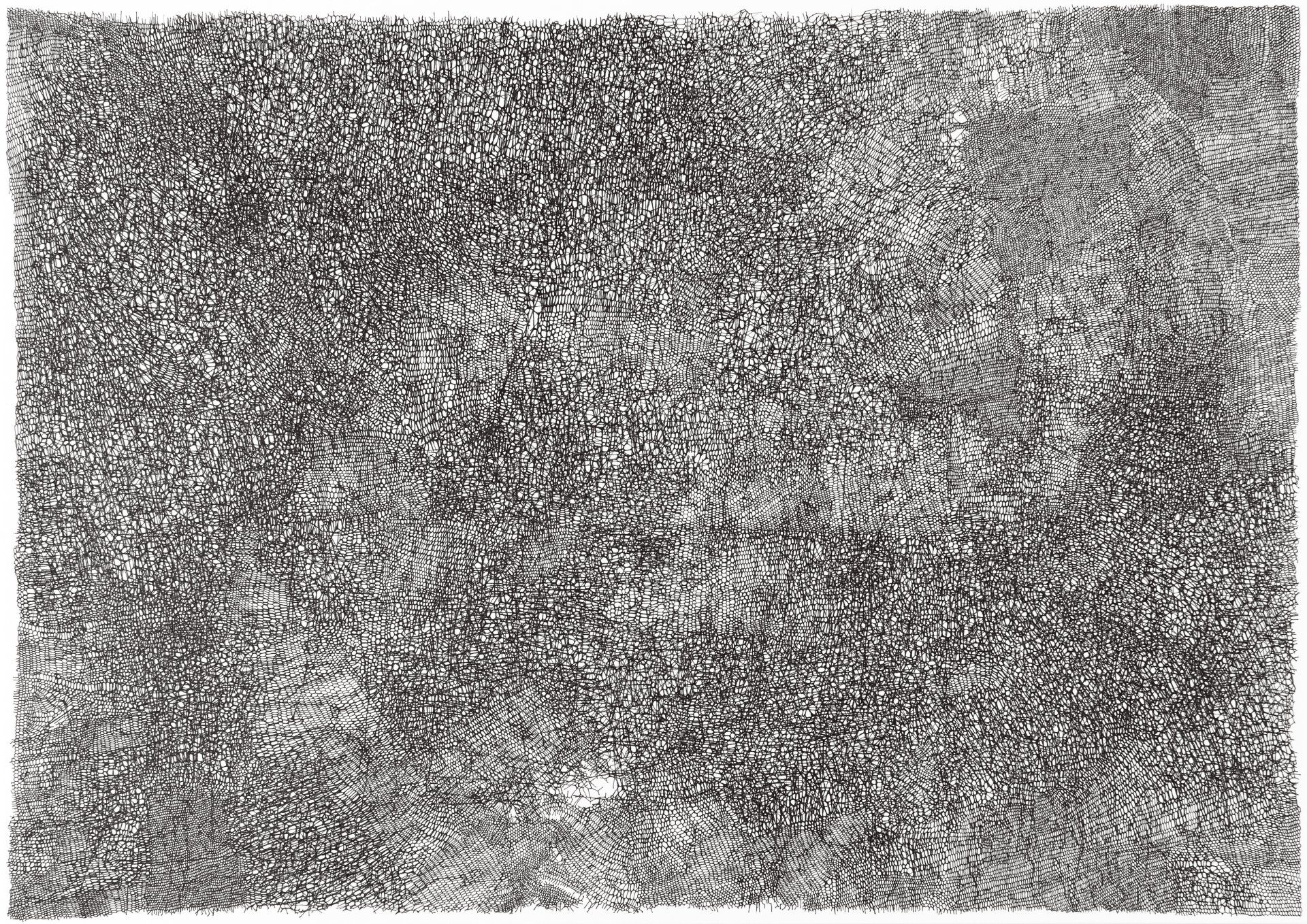 Gabriele Fischbach / ohne Titel / 2016 / 29,7 x 42,0 cm / Pigmentstift auf Karton Strukturzeichnung Sechseckstruktur Netzstruktur Ausschnitt