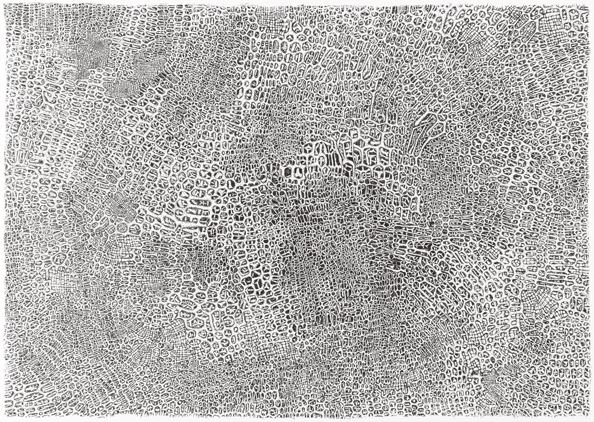 Gabriele Fischbach / ohne Titel / 2016 / 29,7 x 42,0 cm / Pigmentstift auf Karton Strukturzeichnung Viereck-/Sechseckstruktur Gewebe-/Netzstruktur Ausschnitt