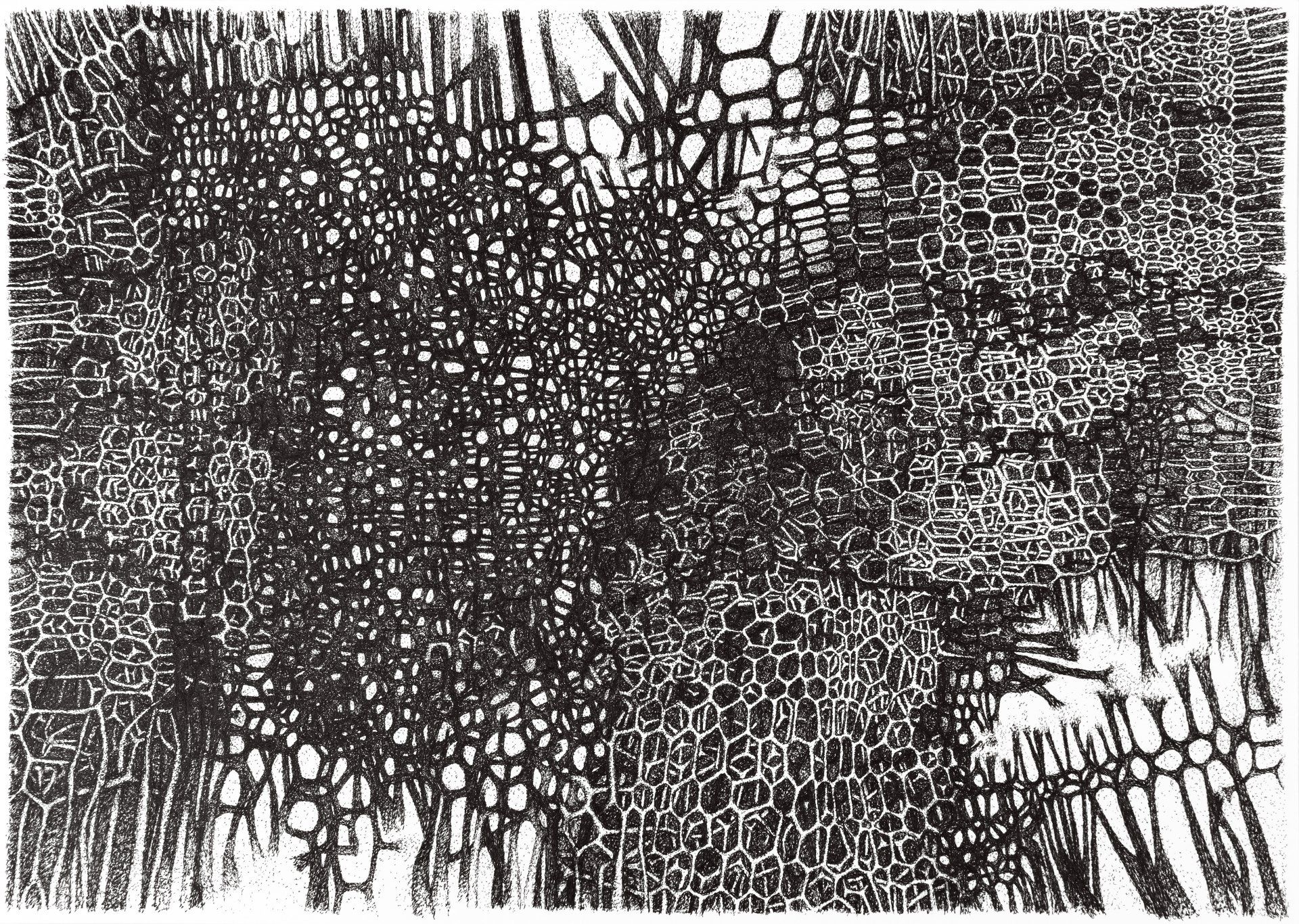 Gabriele Fischbach / ohne Titel / 2017 / 29,7 x 42,0 cm / Pigmentstift auf Karton Strukturzeichnung, Sechseckstruktur, Netzstruktur, Ausschnitt