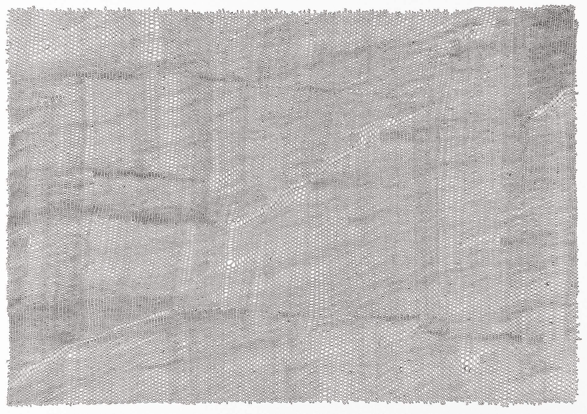 Gabriele Fischbach / ohne Titel / 2013 / 29,7 x 42,0 cm / Pigmentstift auf Karton Strukturzeichnung Sechseckstruktur Netzstruktur Ausschnitt