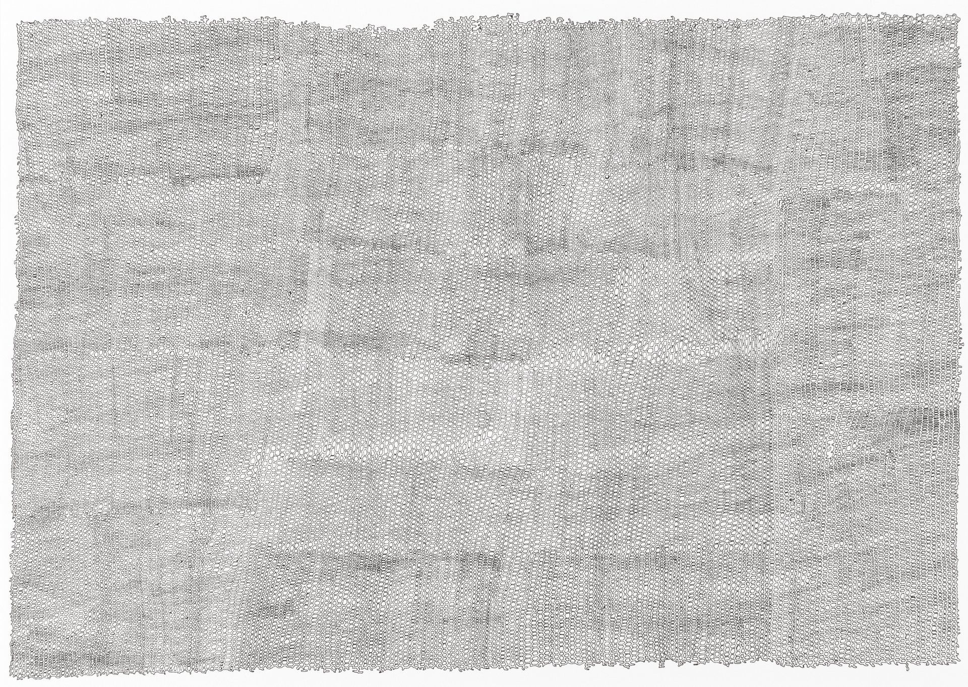 Gabriele Fischbach / ohne Titel / 2013 / 29,7 x 42,0 cm / Pigmentstift auf Karton Strukturzeichnung Sechseckstruktur Netzstruktur Ausschnitt