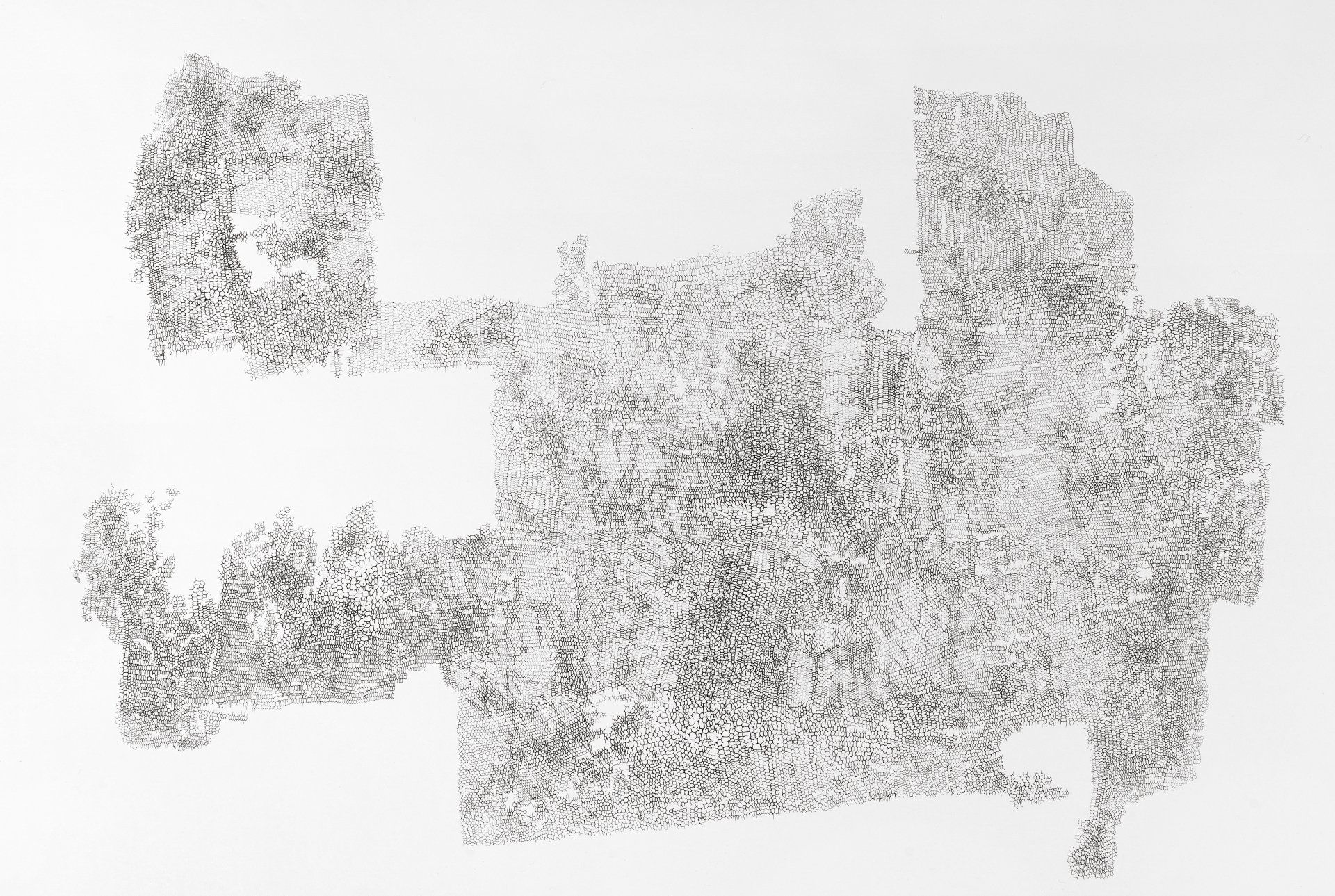 Gabriele Fischbach, Künstlerin, Kunst, Wiesbaden, Zeichnung, Zelle, Struktur