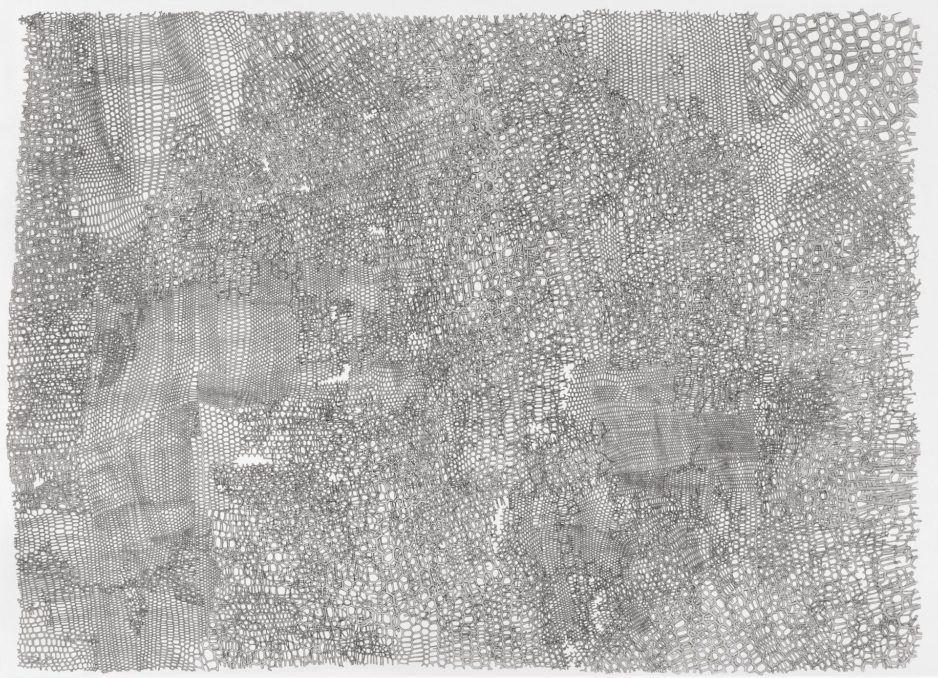 Gabriele Fischbach / ohne Titel / 2015 / 65,0 x 89,5 cm / Pigmentstift und Grafitstift auf Karton Strukturzeichnung Sechseckstruktur Netzstruktur Ausschnitt